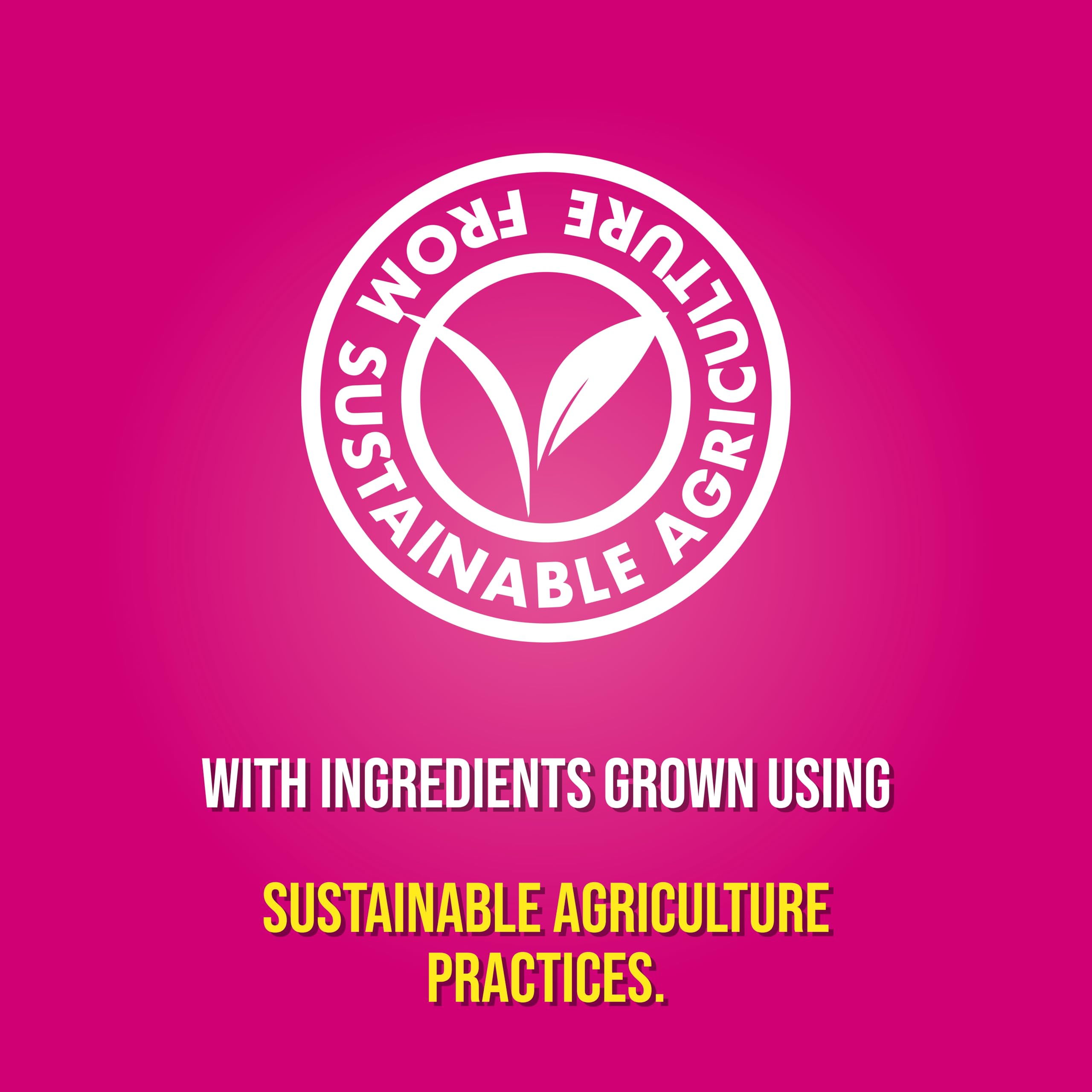 Pot Noodle - Piri-Piri Chicken Instant Noodle Snack, 80g 11