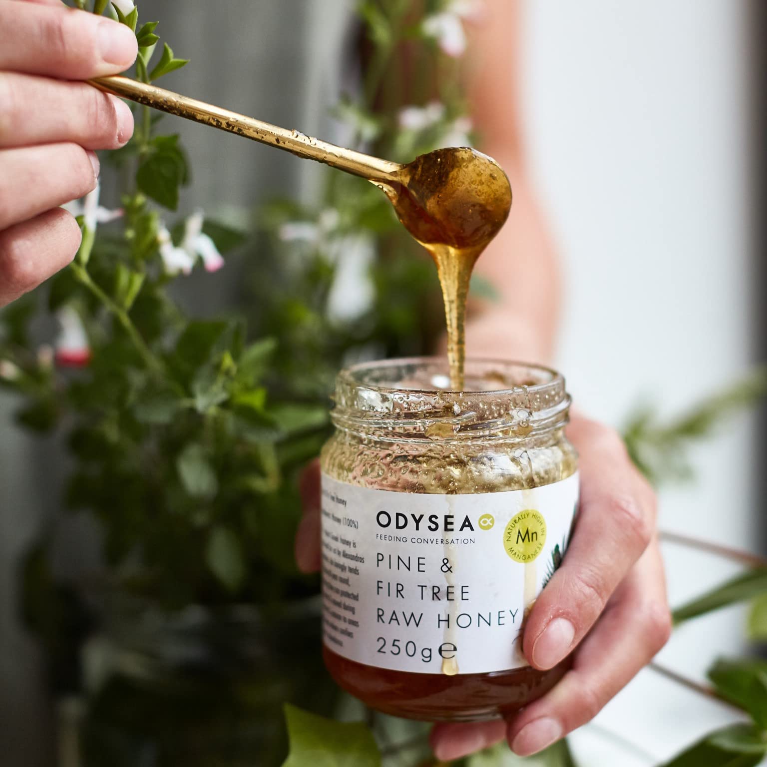 Odysea Greek Raw Pine & Fir Honey - 100% Unprocessed | 250g Jar | Great Taste Award Winner 2