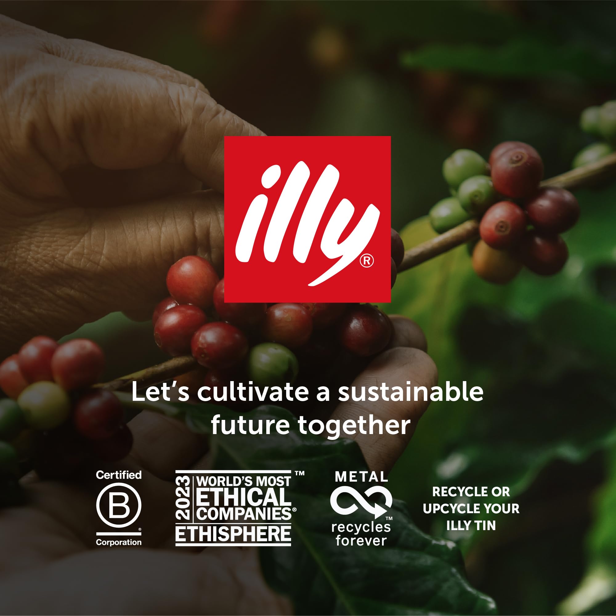 illy Ethiopia Single Origin Whole Coffee Beans - 100% Arabica Light Roast Intensity 3/9 (Pack of 6) 7