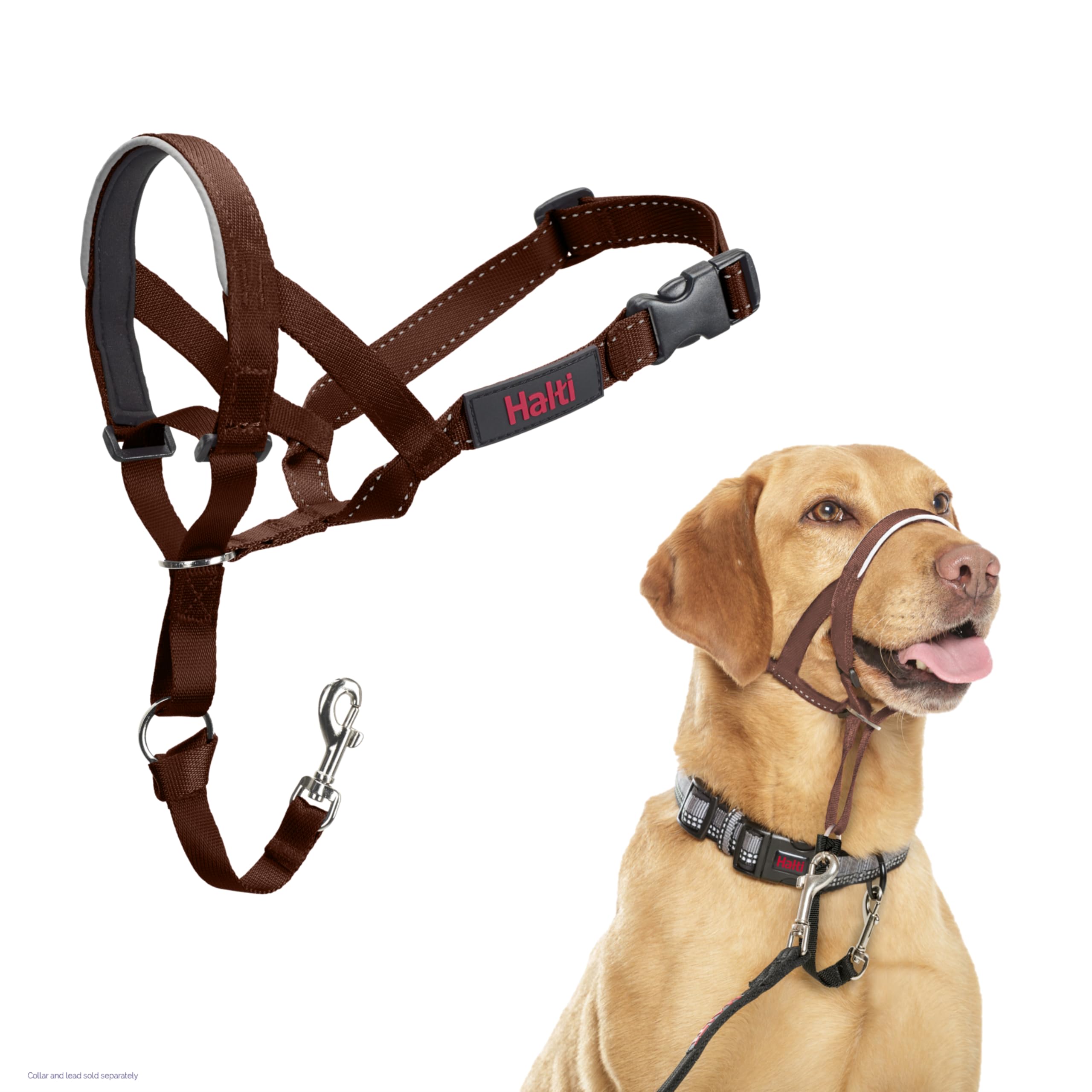 Halti Headcollar - Stop Pulling for Medium Dogs | Size 3, Deep Walnut, Reflective 1