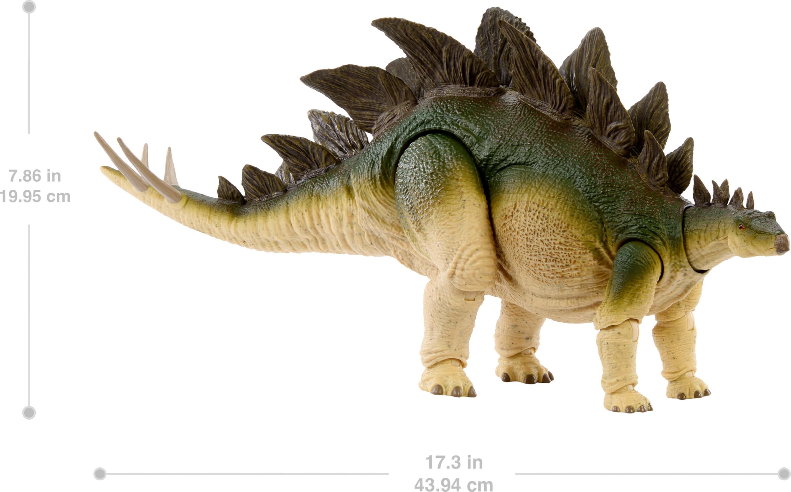 Mattel Jurassic World Hammond Collection Stegosaurus Action Figure | 20.75 cm | 15 Points of Articulation 6