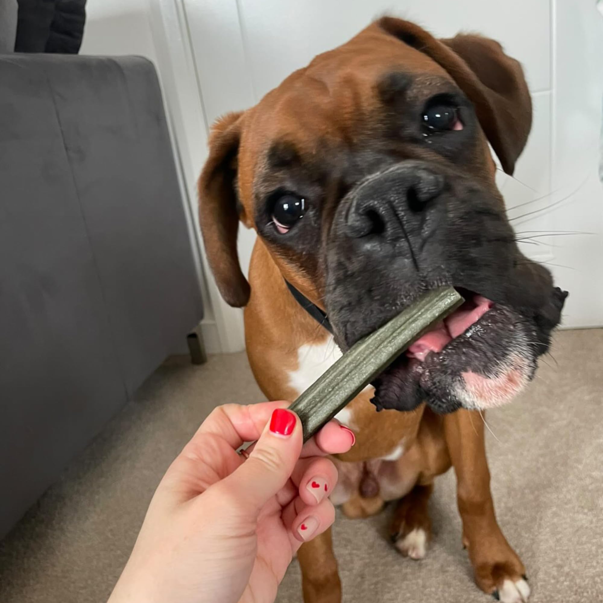 Denzel's Vegan Dog Dental Sticks - Medium Dogs (10-20kg) | Peanut Butter & Peppermint | 28 Pack 5