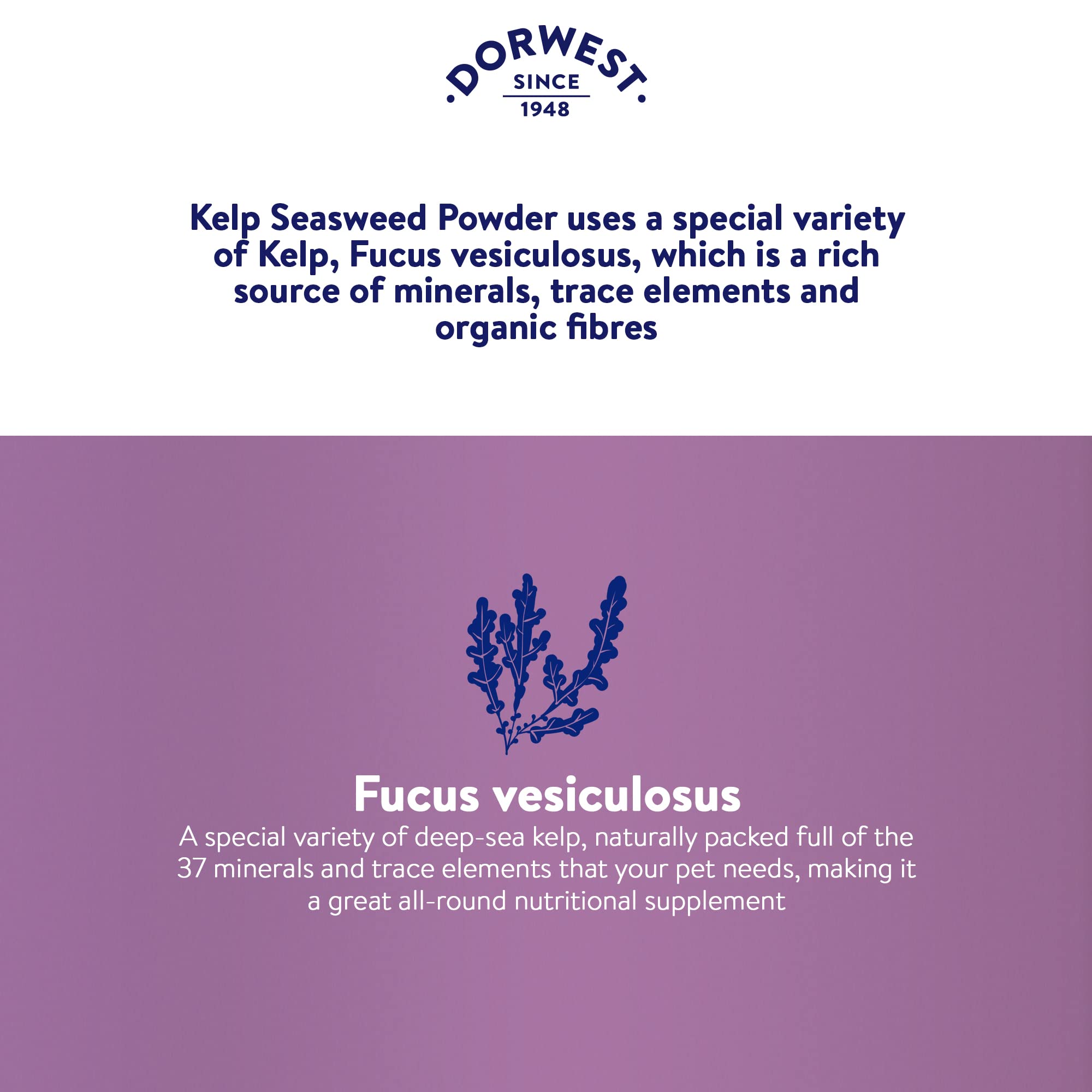 DORWEST HERBS Kelp Seaweed Powder for Dogs & Cats - Natural Multivitamin for Coat Growth & Pigmentation | 250g 5