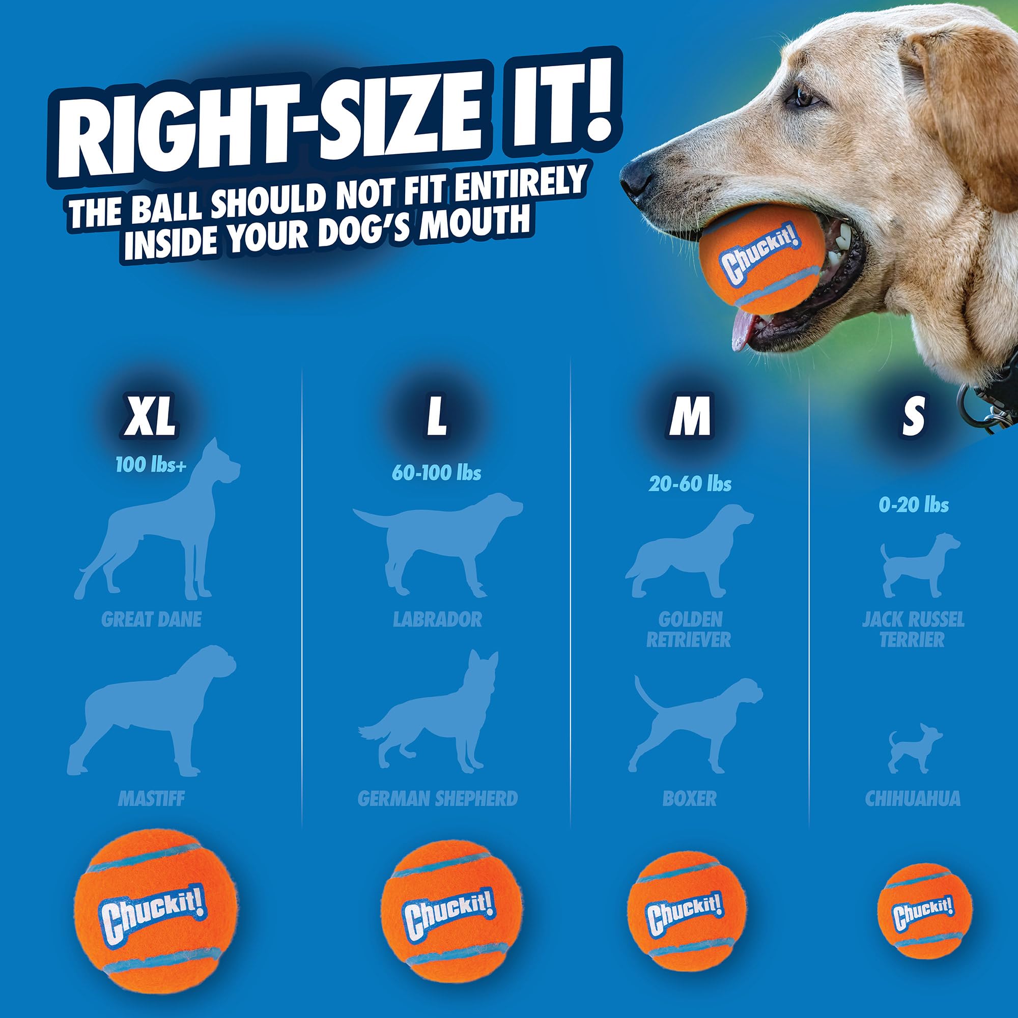 Chuckit! Tennis Dog Balls - Medium, High Bounce, Floating, Non-Abrasive Felt - 2 Pack 7