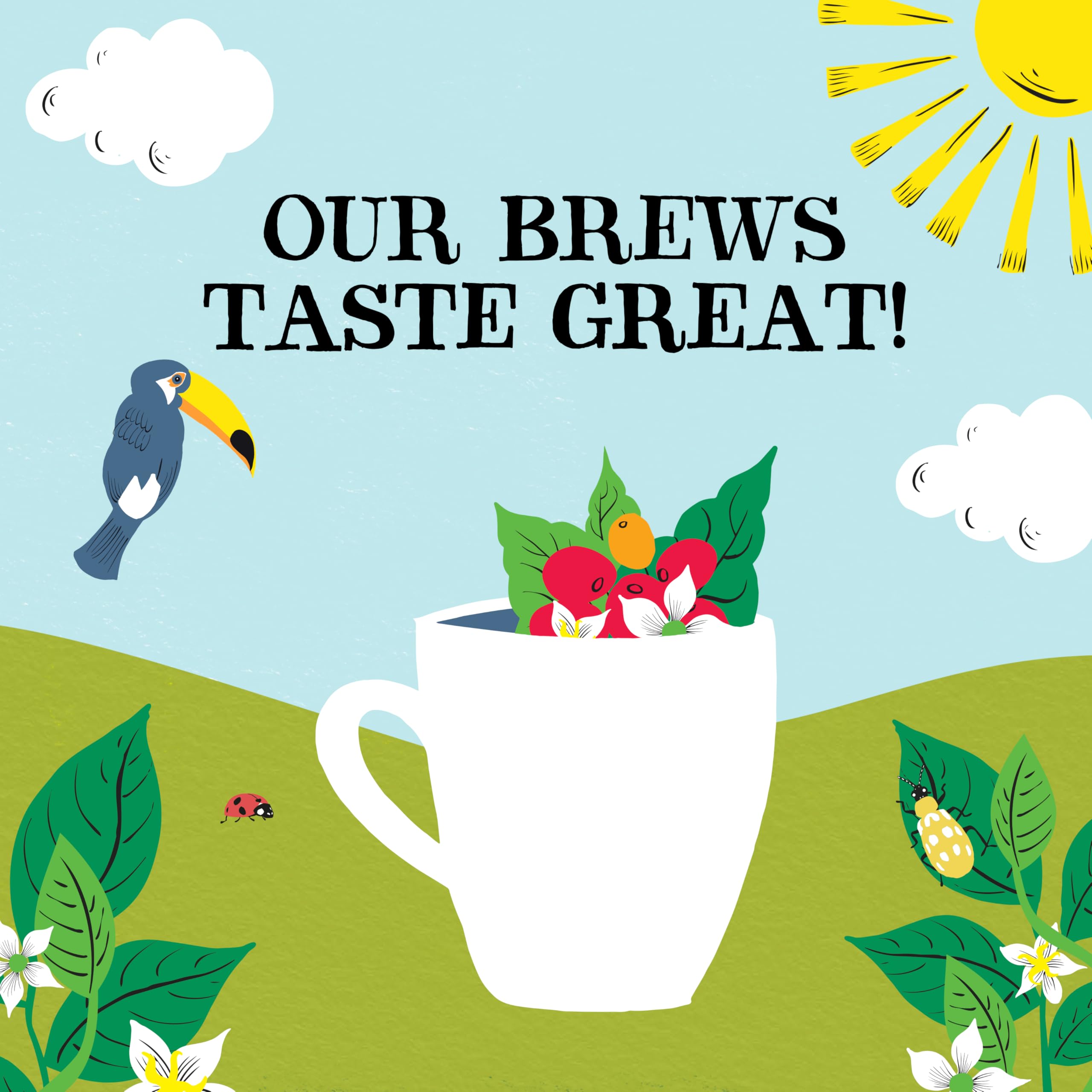 Clipper Natural, Fair & Delicious Latin American Organic Instant Coffee - 6 x 100g Jars | 600g Total 4