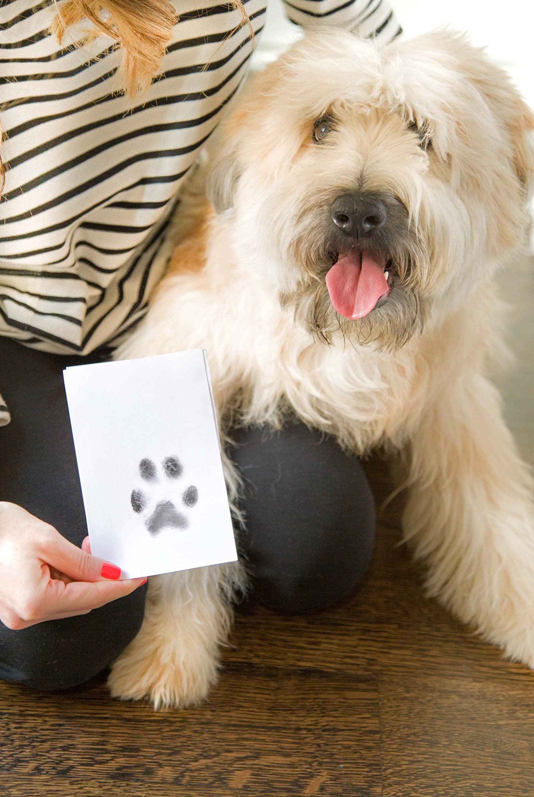 Pearhead Paw Print Clean Touch Ink Pad Kit for Dogs and Cats | Mess-Free Keepsake 9