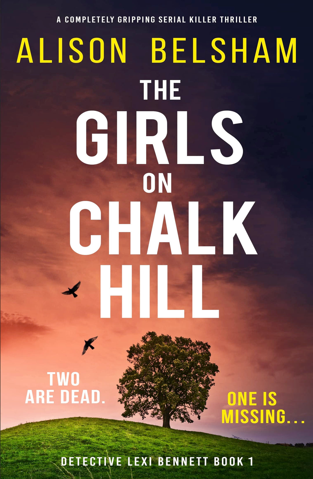 The Girls on Chalk Hill: A Completely Gripping Serial Killer Thriller - (Paperback)