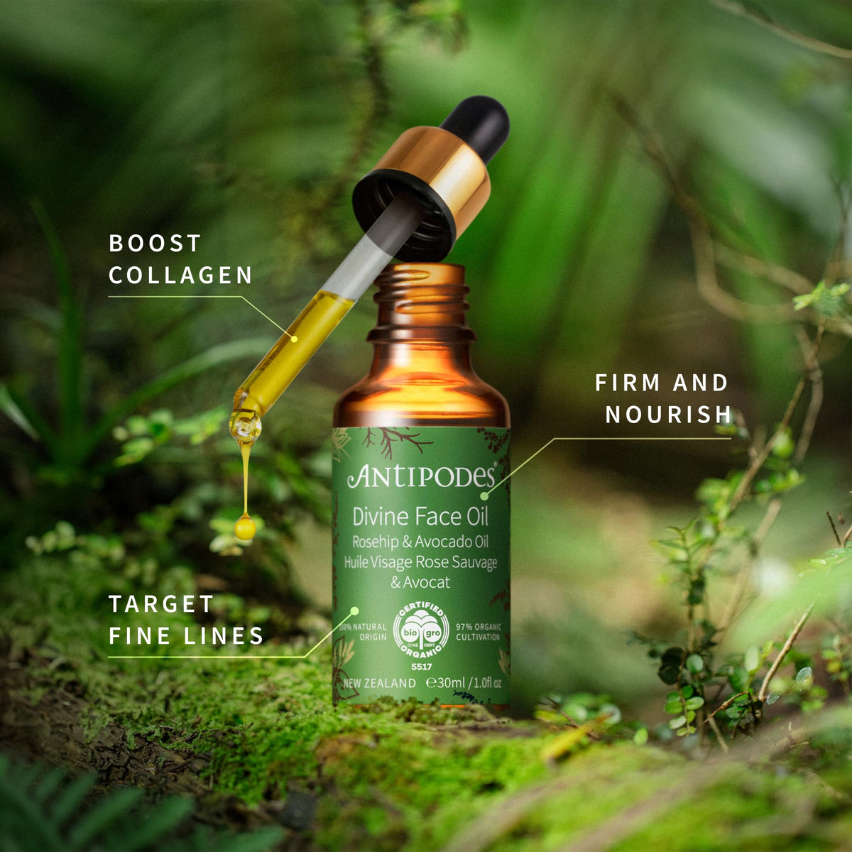 Antipodes Divine Face Oil Rosehip & Avocado Oil - Anti-Aging Face Oil for Dry Skin | 30ml