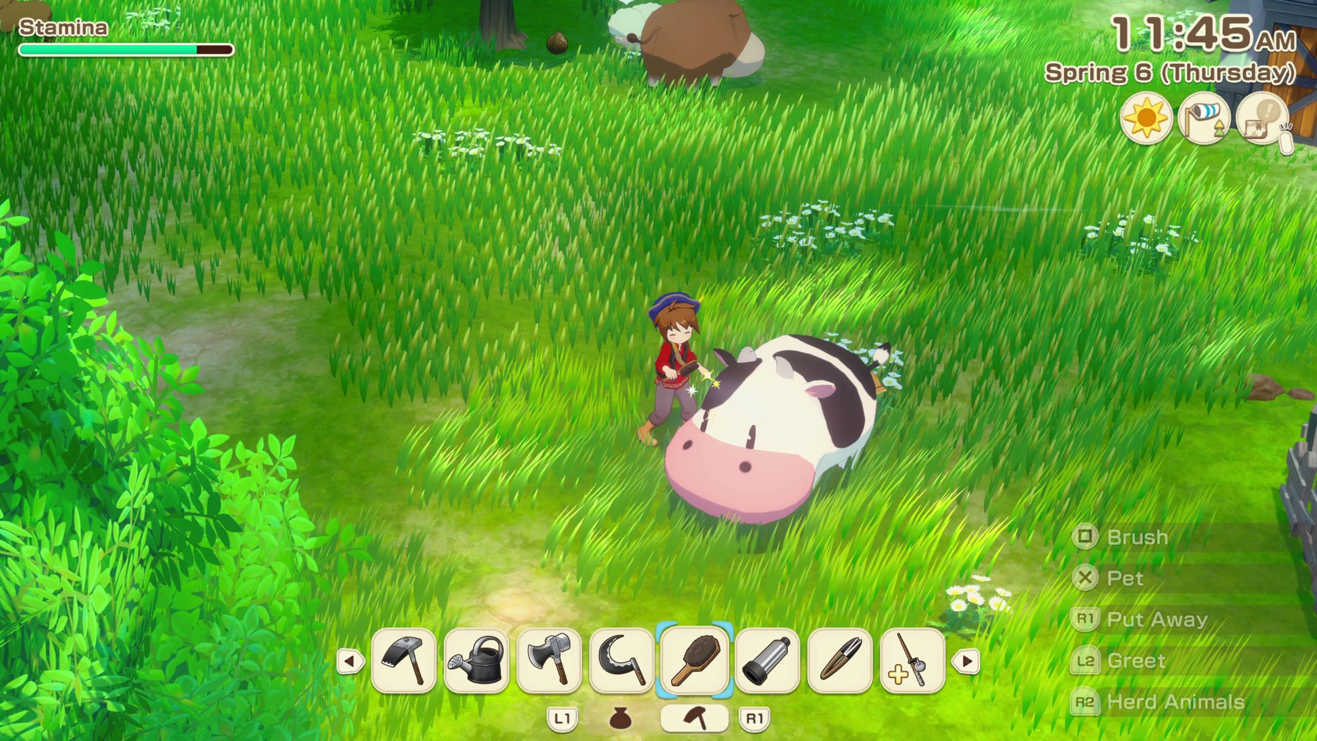 Story of Seasons: Grand Bazaar [PS5] 2