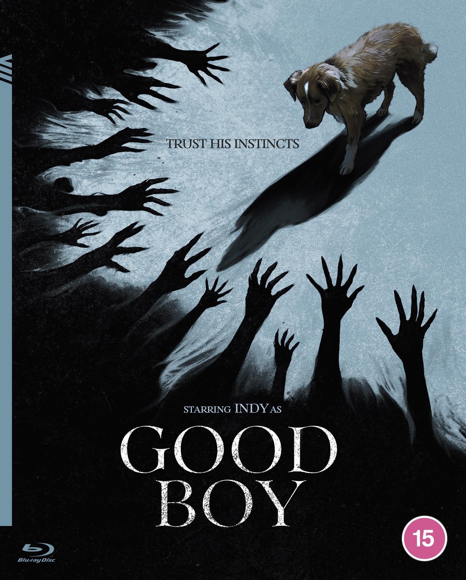 Good Boy [Blu-ray] 1