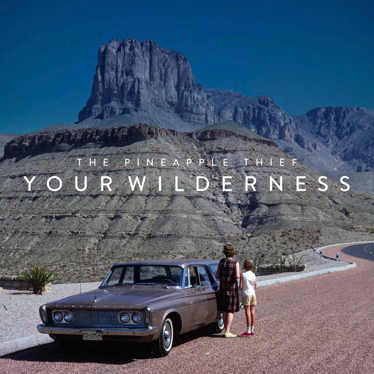 The Pineapple Thief - Your Wilderness [CD]