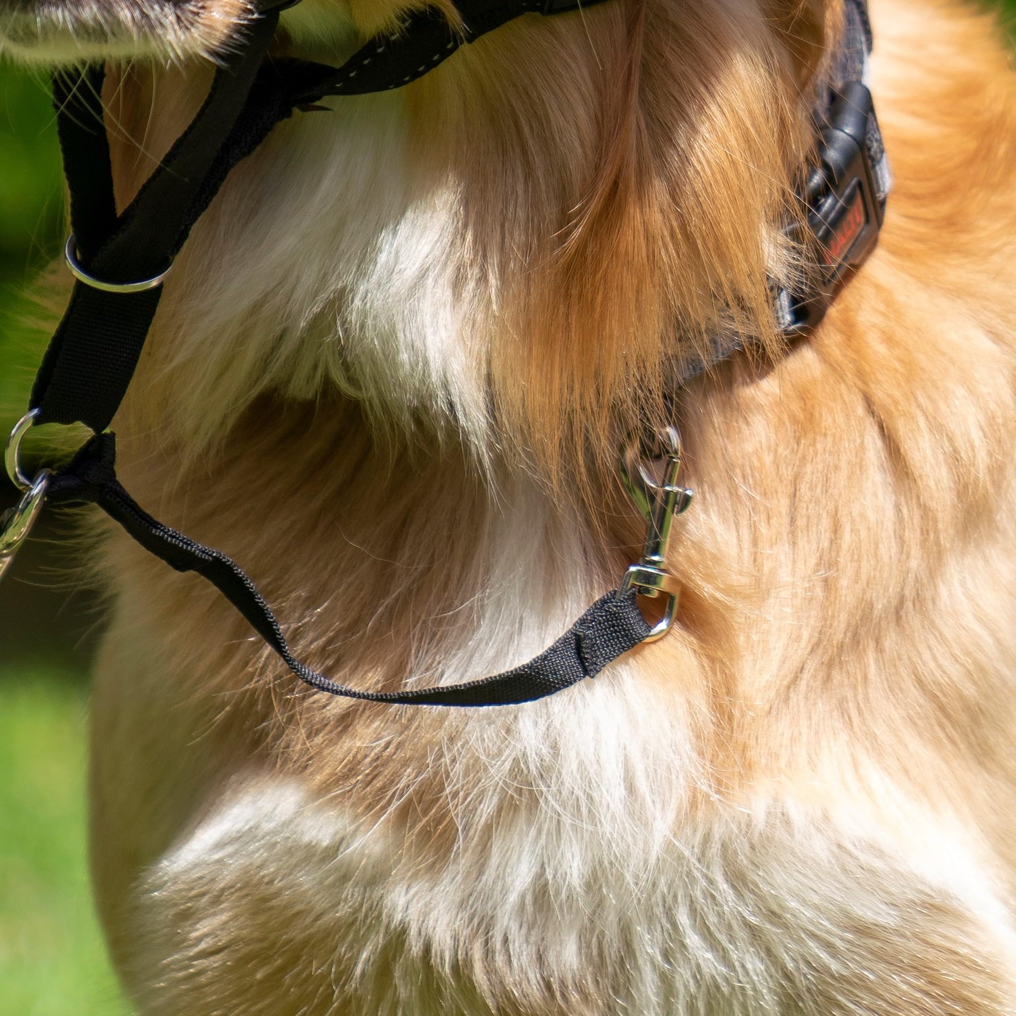Halti Dog Headcollar Safety Link - Connects Headcollar to Neck Collar | Nylon | Black