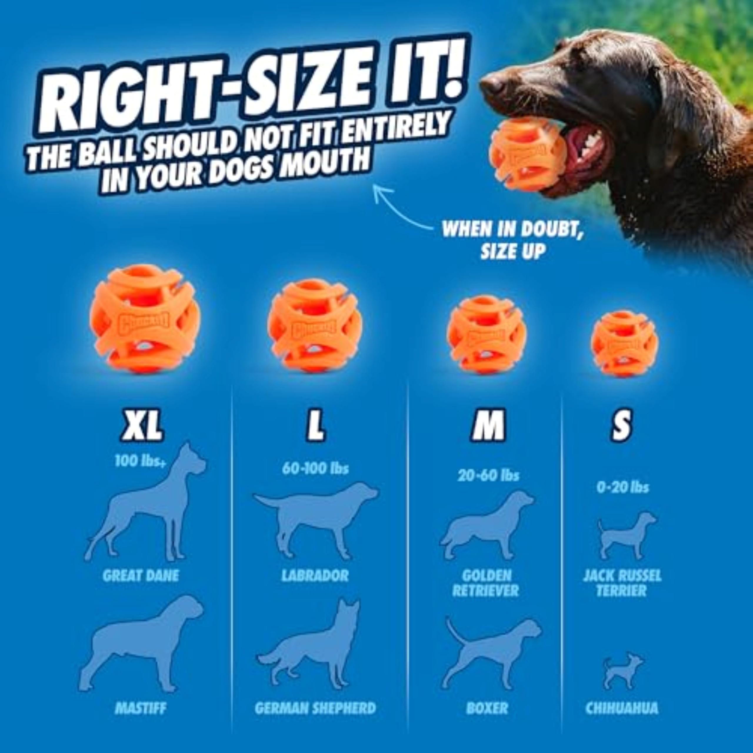 Chuckit! Air Fetch Ball - High Bounce Lightweight Rubber Dog Toy | Medium Size | Multi-colored 5