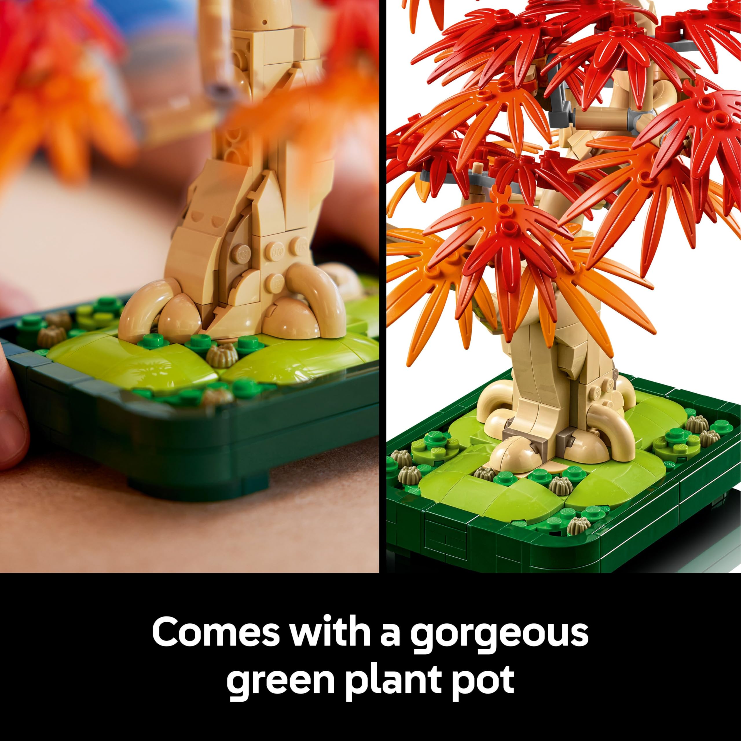 LEGO Botanicals Japanese Red Maple Bonsai Tree - Adult Building Set with Autumn-Colored Leaves 5