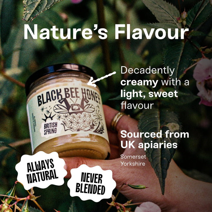 Black Bee Honey - Pure British Spring Soft Set Honey, Creamy and Lightly Sweet