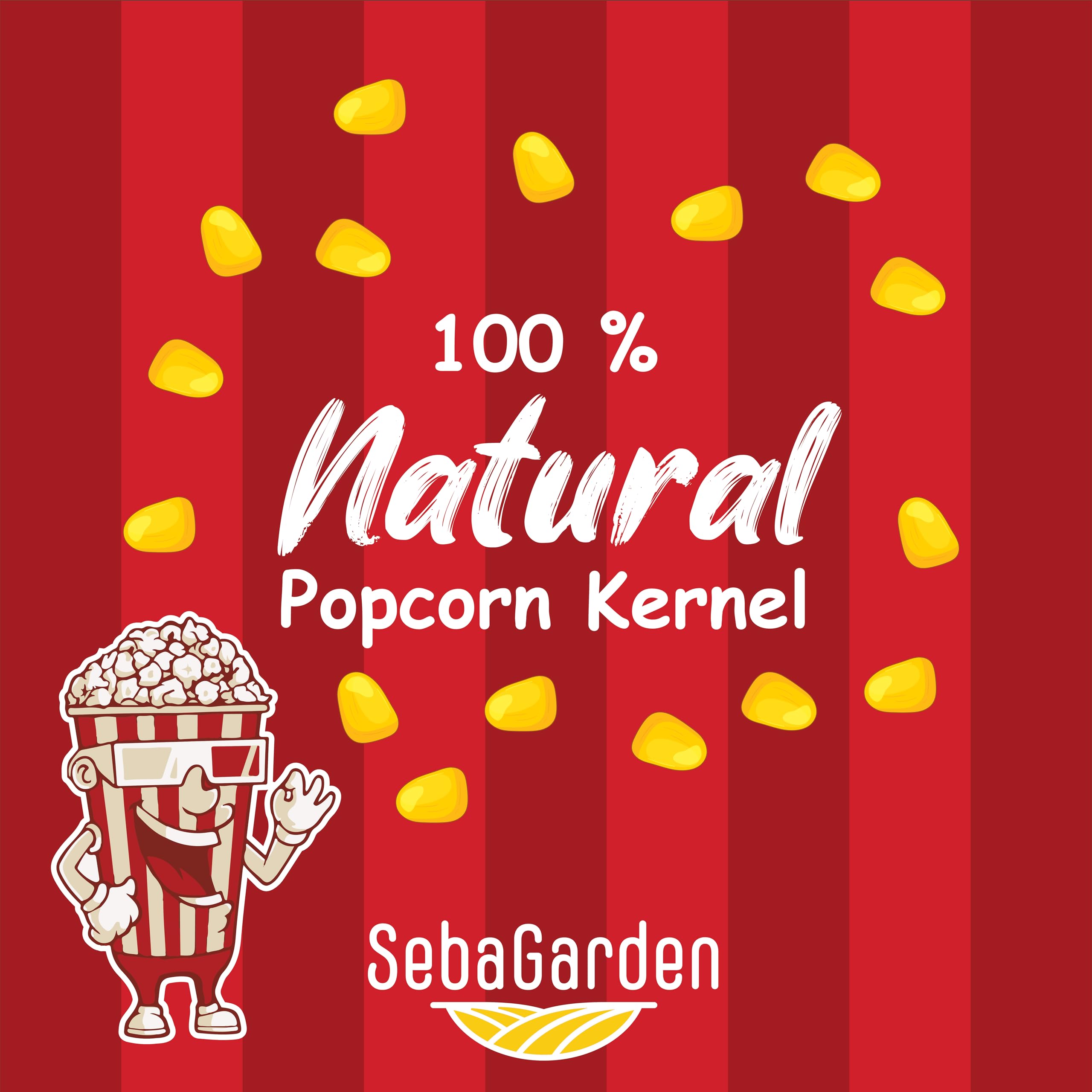 Seba Garden Popping Corn Kernels - GMO Free, Resealable Bag | 1 kg (Pack of 2)