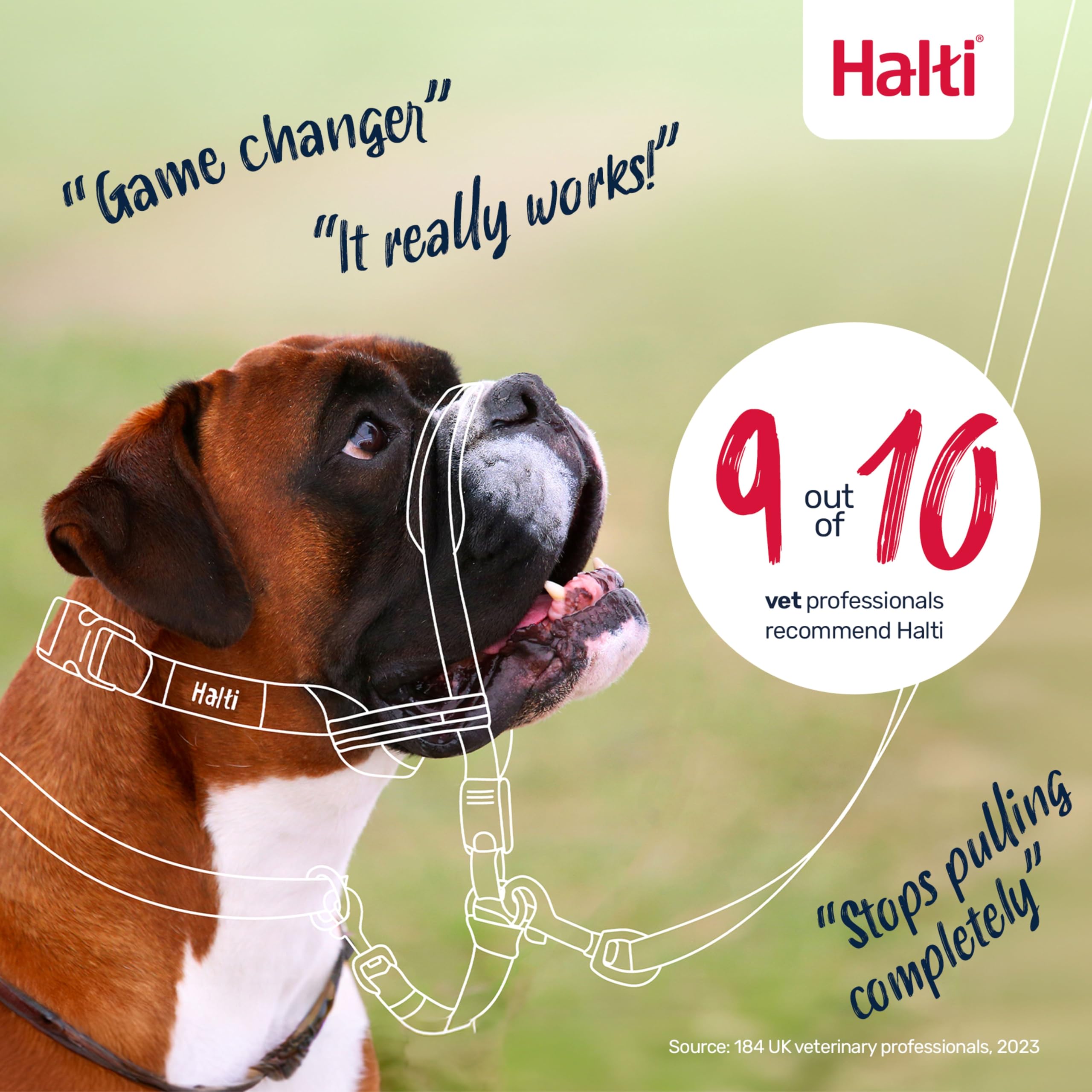 Halti Optifit Headcollar - Stops Pulling, Adjustable Fit | Size Large, Black 6