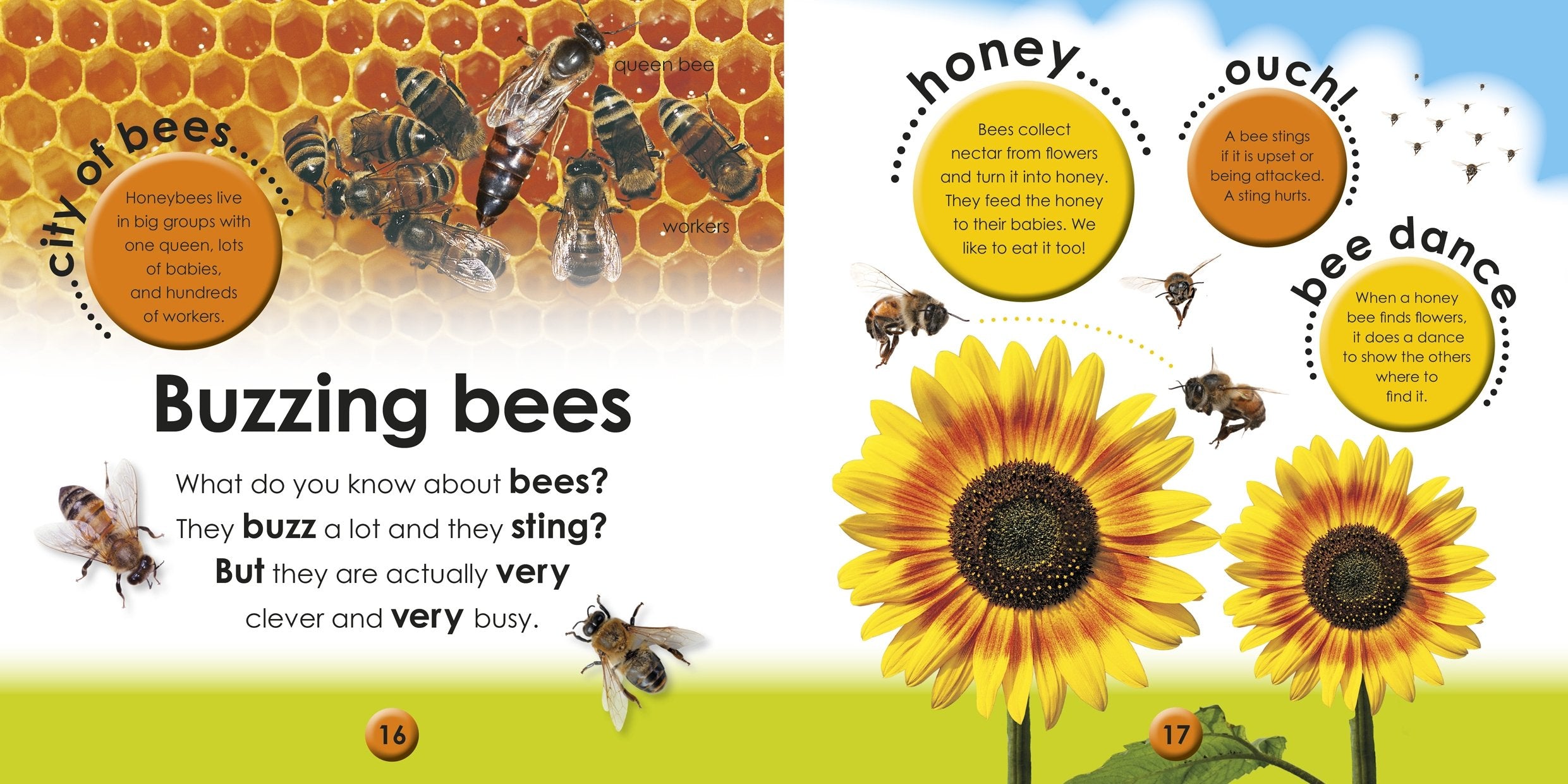 DK First Facts Bugs Reference Book | Hardcover | English | Ages 2-5 3