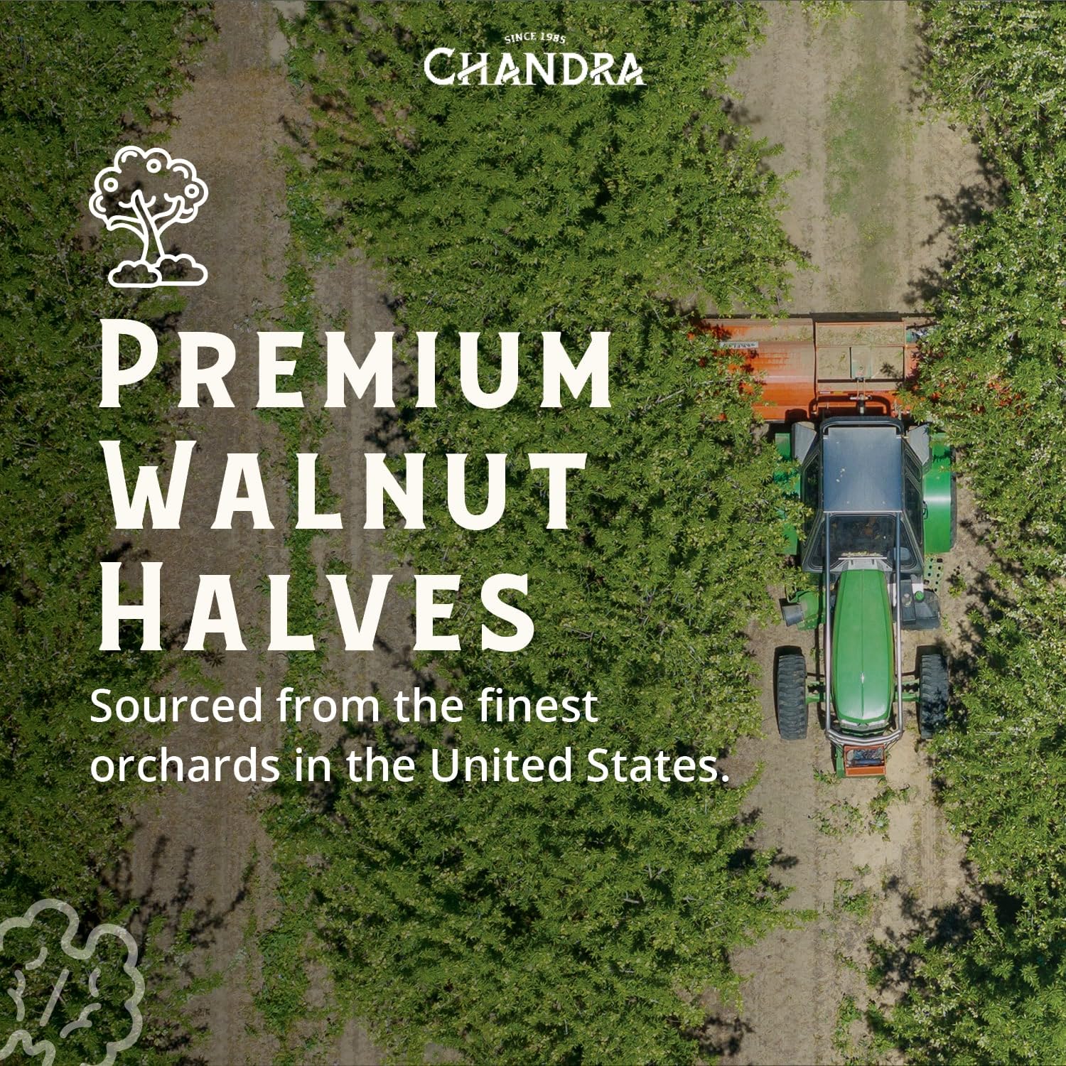 CHANDRA Whole Foods Walnut Halves - 1KG Resealable Bag | Keto & Paleo Friendly | Gluten-Free 6