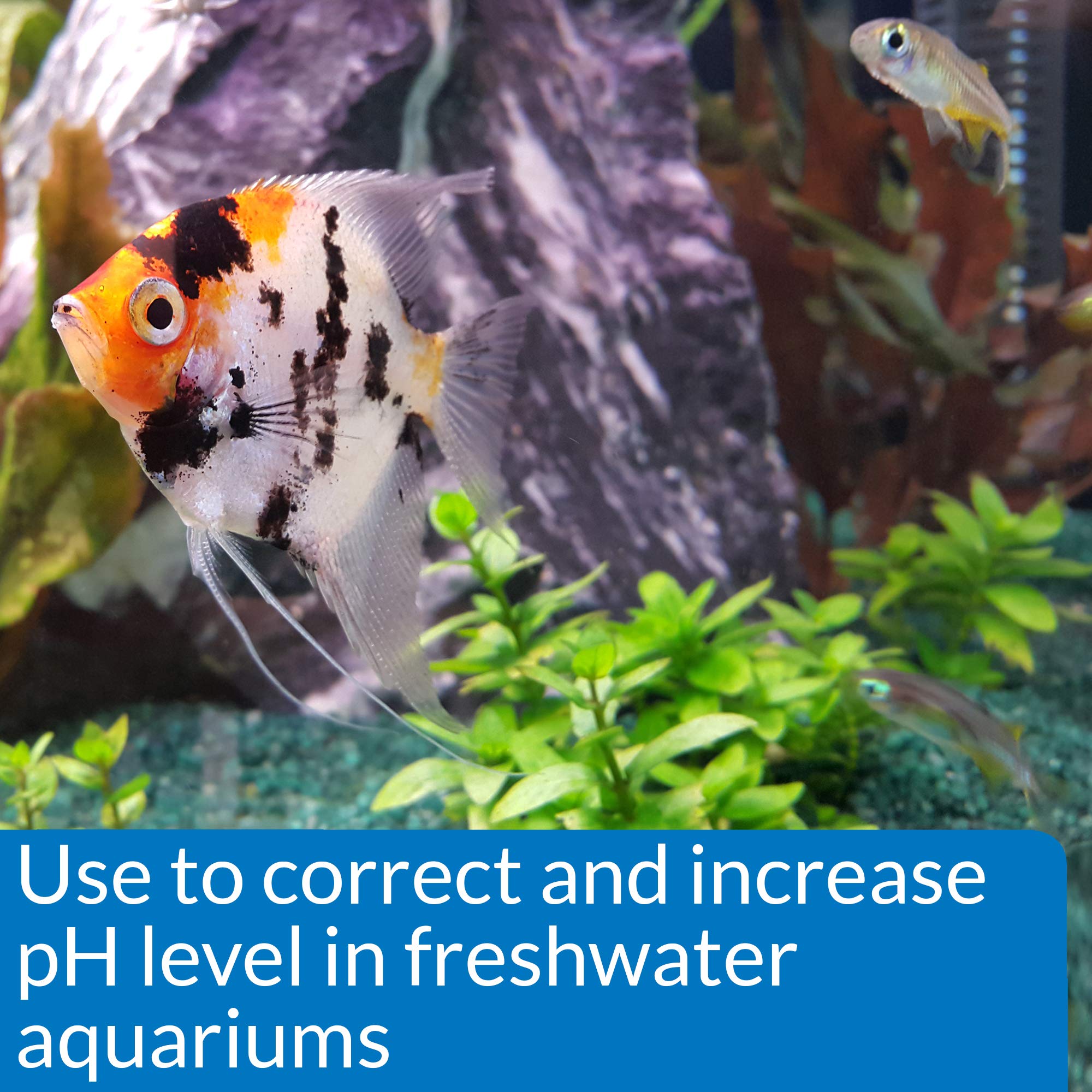 API pH UP Freshwater Aquarium Water pH Raising Solution - Phosphate-Free Formula | 118 ml 2