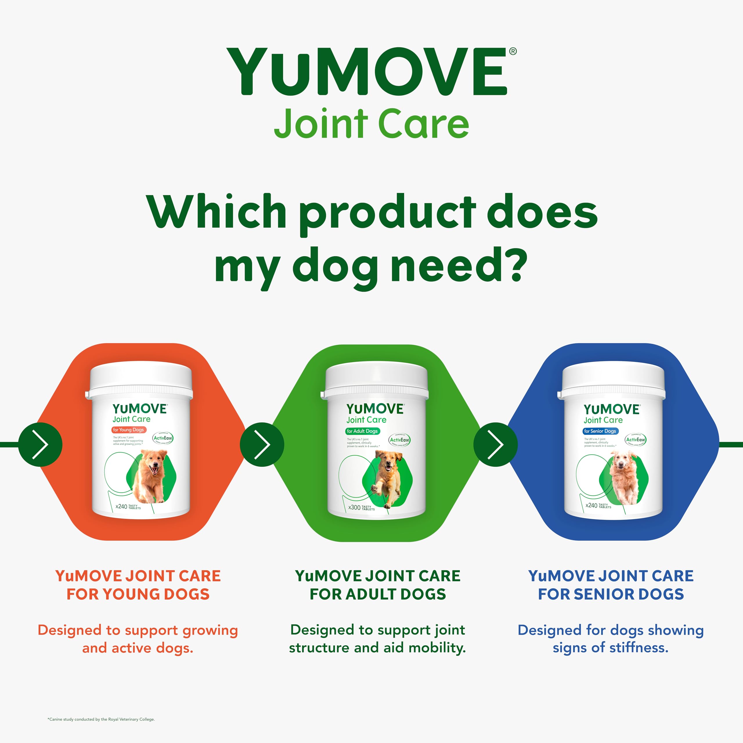 YuMOVE Joint Supplement for Young and Active Dogs - 240 Tablets for Preventative Joint Care 5