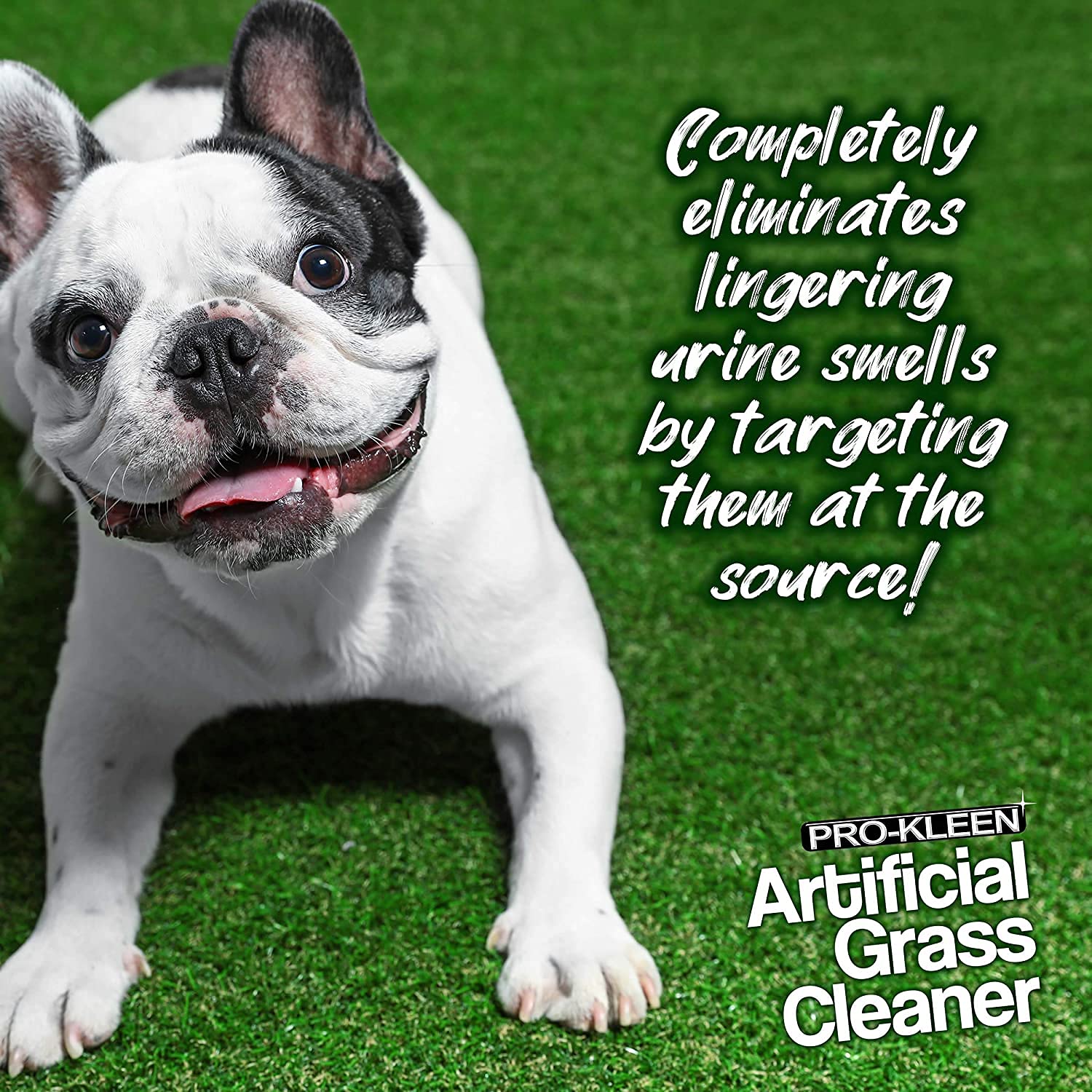 Pro-Kleen Artificial Grass Cleaner for Dogs - 3-in-1 Formula, Lavender Scent | 1 L 5