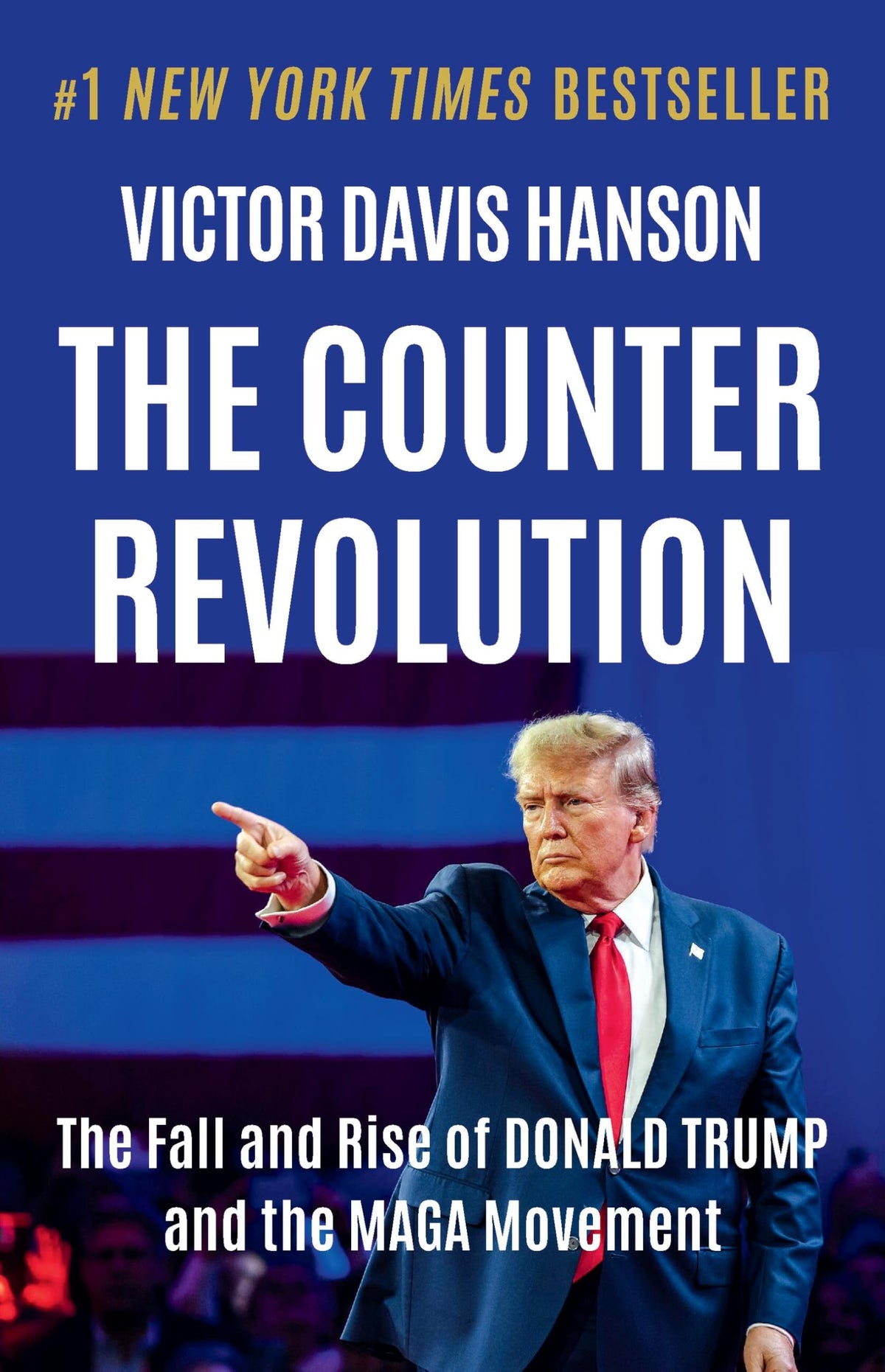 Basic Books The Counterrevolution: The Fall and Rise of Donald Trump and the MAGA Movement - Hardcover