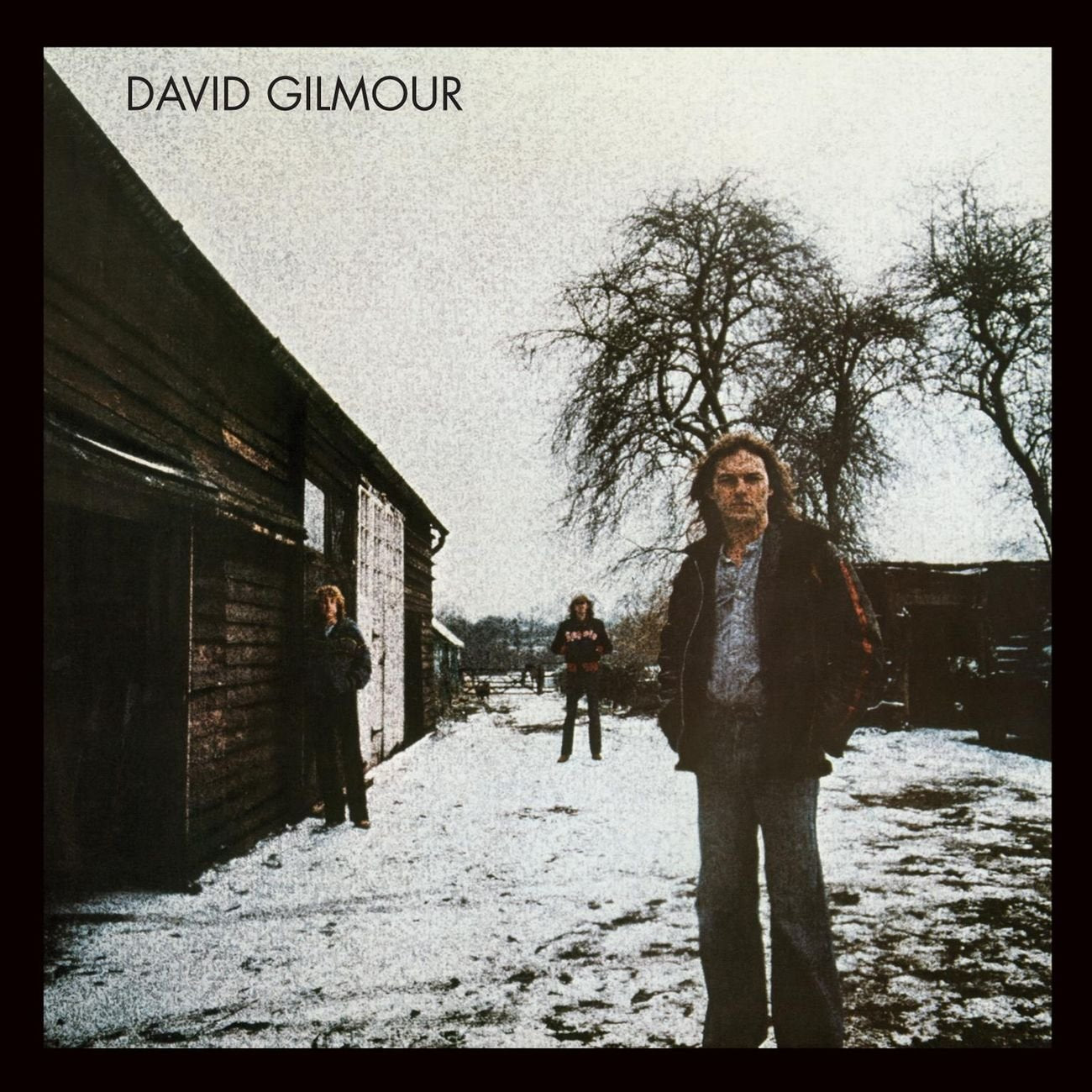 David Gilmour - David Gilmour [CD] 1