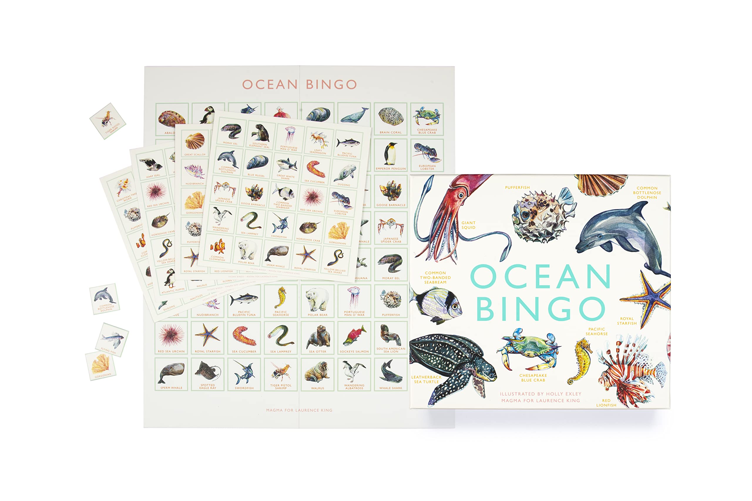 Laurence King Ocean Bingo - 64 Species Game | Ages 4-8 | Cardstock 7