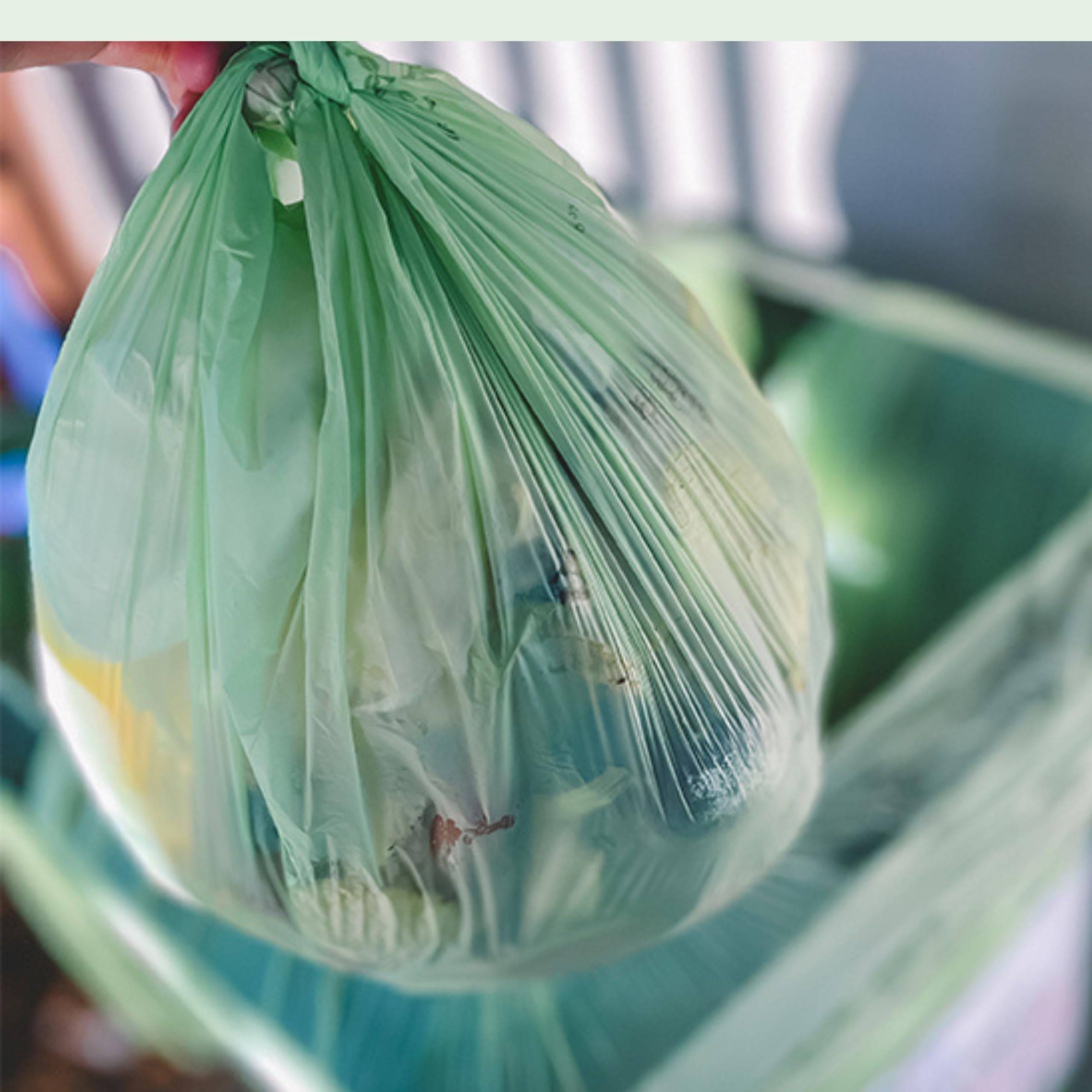 BioBag 10L Compostable Caddy Bin Liners - 20 Count, Green, Plant-Based Material