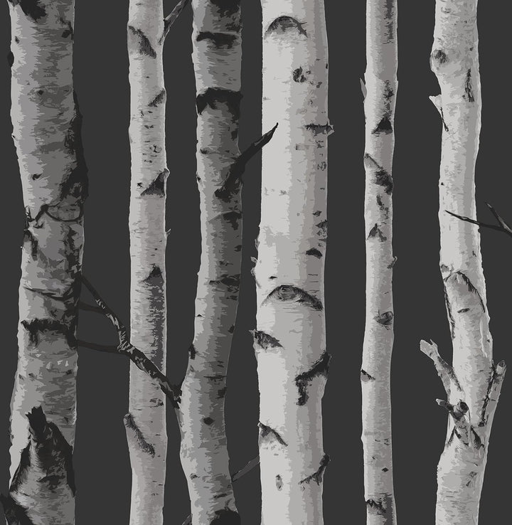 Brewster - Birch Tree Wallpaper Wallcovering (52cm x 10m)