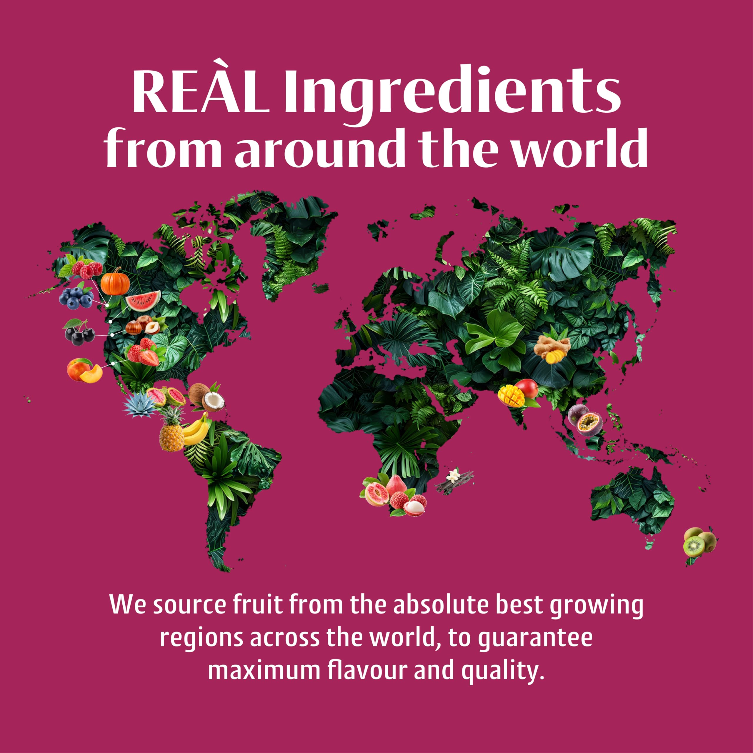Reàl Infused Exotics Raspberry Puree Infused Fruit Syrup - 40% Real Raspberries | 500ml Squeezy Bottle 6