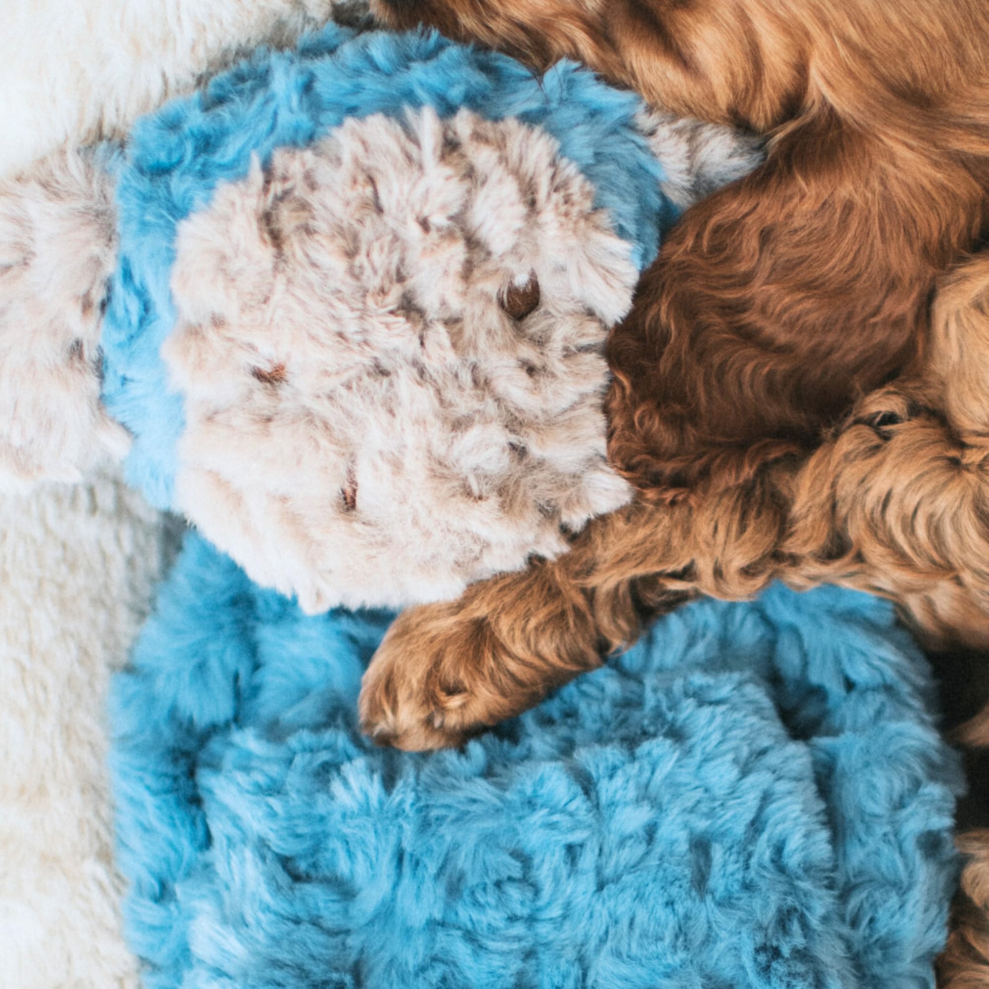 Rosewood My Dog Luxury Soft Plush Monkey Toy - Stuff-Free Comforting & Calming Dog Toy, 40cm 6