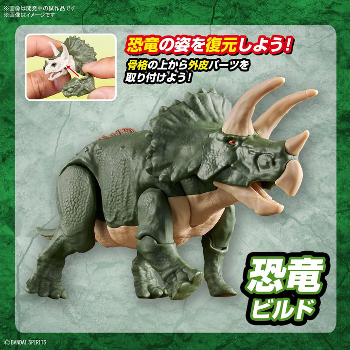 Bandai Dinosaur Plastic Triceratops Model Kit - Green, 29.72 x 6.6 x 18.8 cm, 250 g