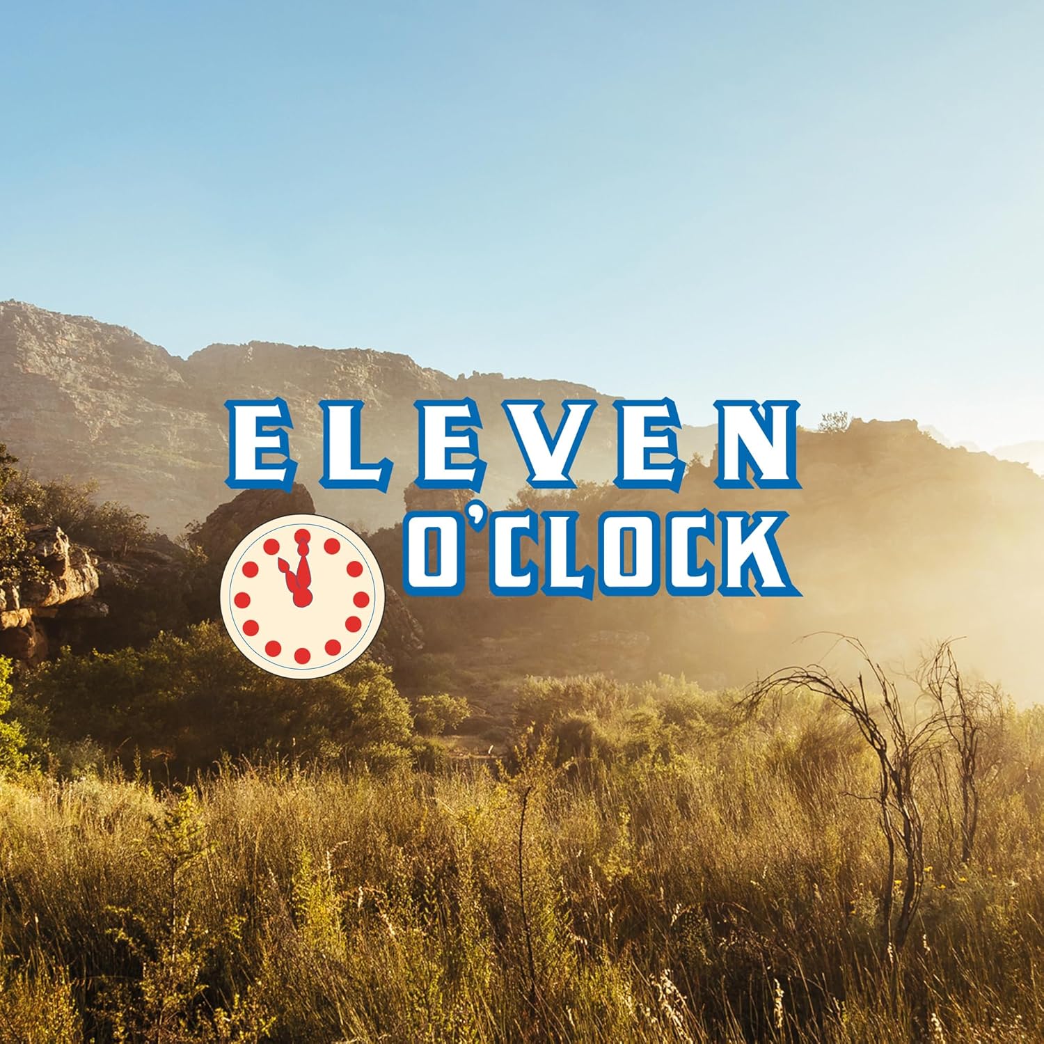 Eleven O'Clock Organic Rooibosch Tea (4 x 40 Tea Bags) - 160 Total Bags 5