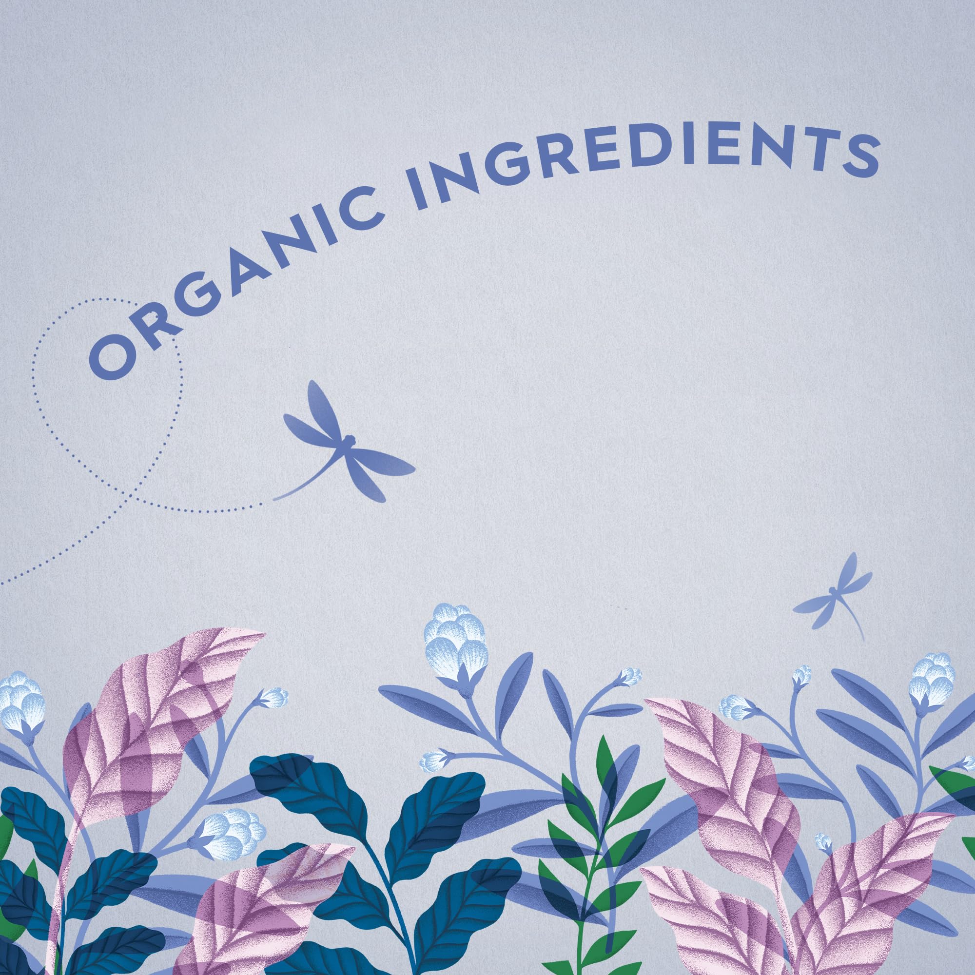 Dragonfly Tea Welcome to Dragonfly Tea Selection Box - Organic Green & Herbal Tea Assortment (80 Teabags) 3