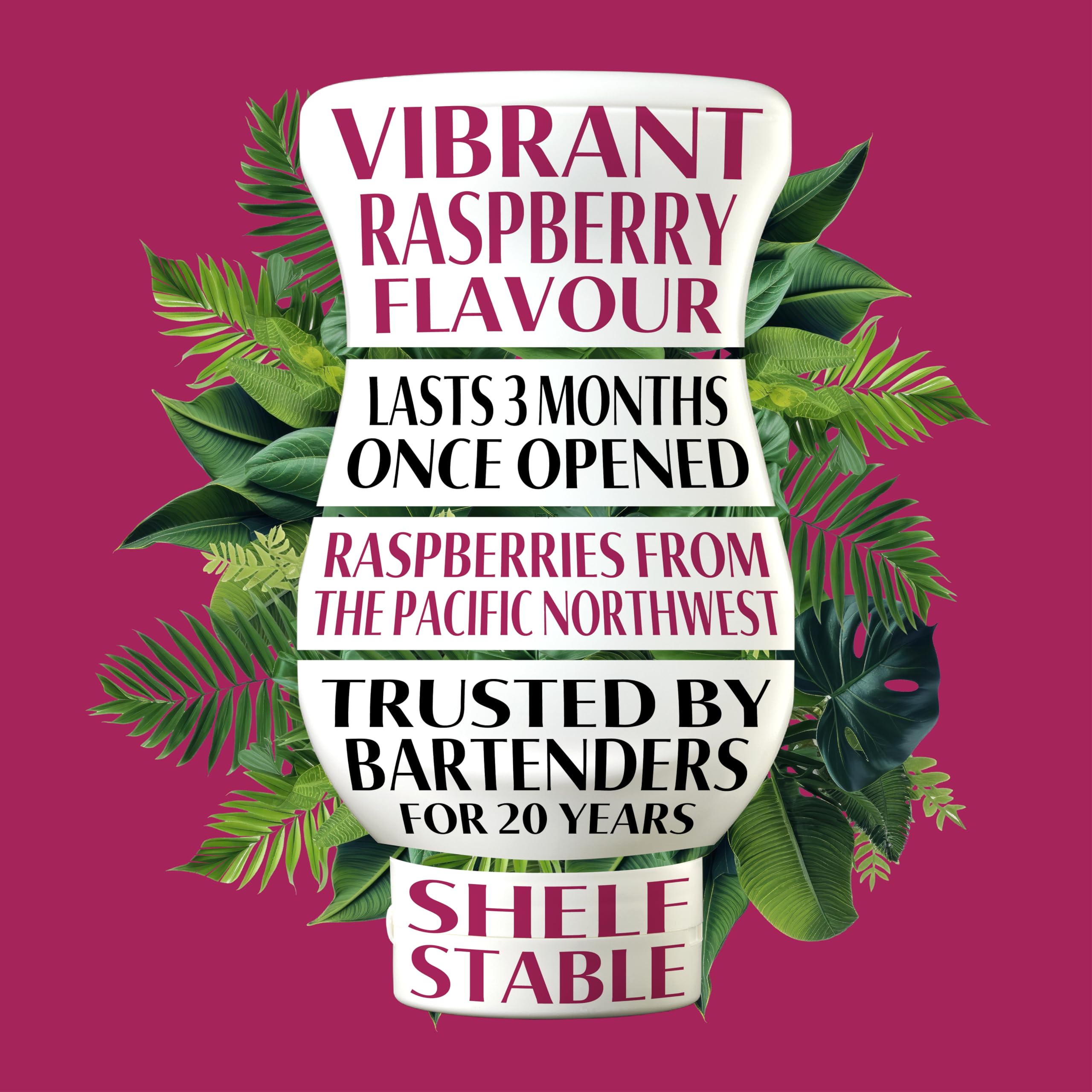 Reàl Infused Exotics Raspberry Puree Infused Fruit Syrup - 40% Real Raspberries | 500ml Squeezy Bottle