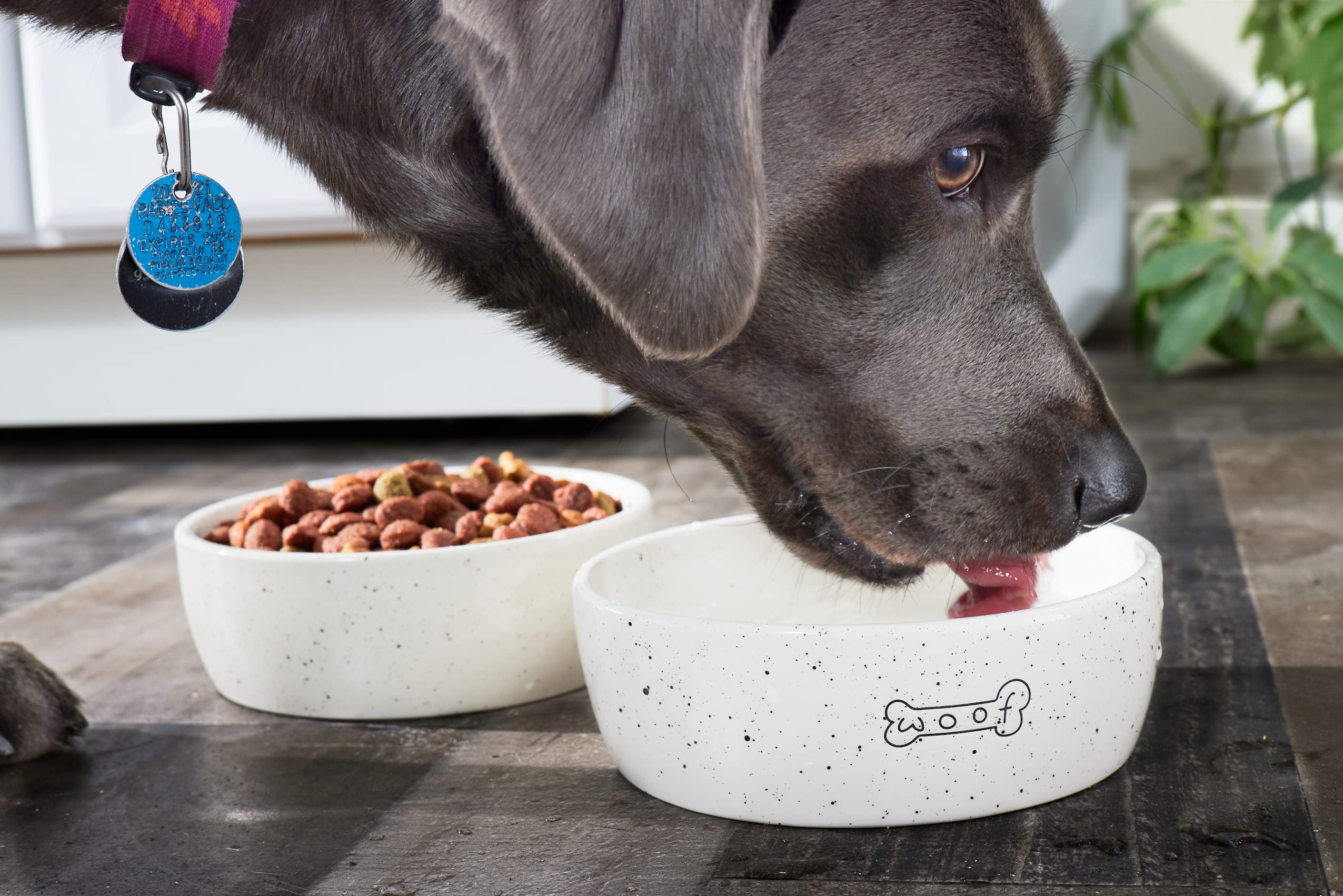 Pearhead Woof Ceramic Pet Bowl - 3 Cup Capacity | Durable | Dishwasher Safe 4