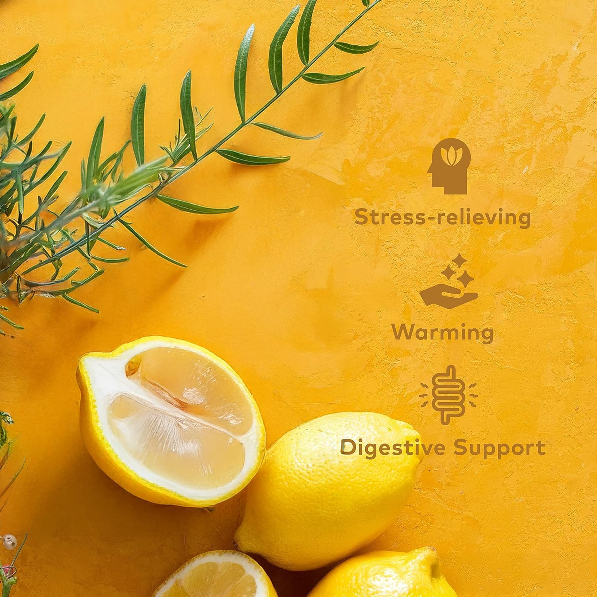 ORGANIC INDIA Tulsi Lemon & Ginger Herbal Tea - Caffeine-Free, Certified Organic, 1 Count Teabags 3