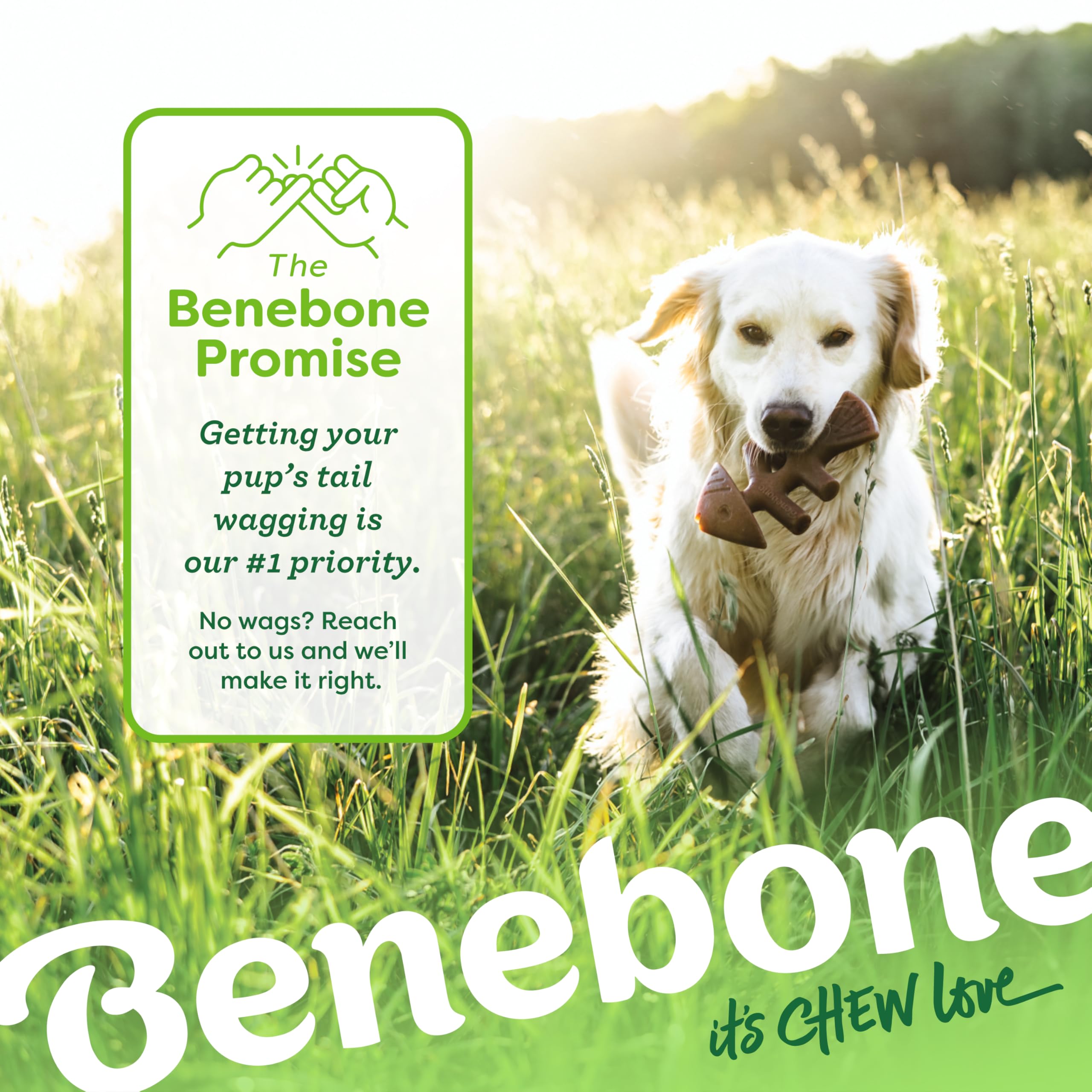 Benebone 2-Pack Fishbone & Wishbone Durable Nylon Chew Toys for Medium Dogs | Real Bacon & Salmon Flavor 6