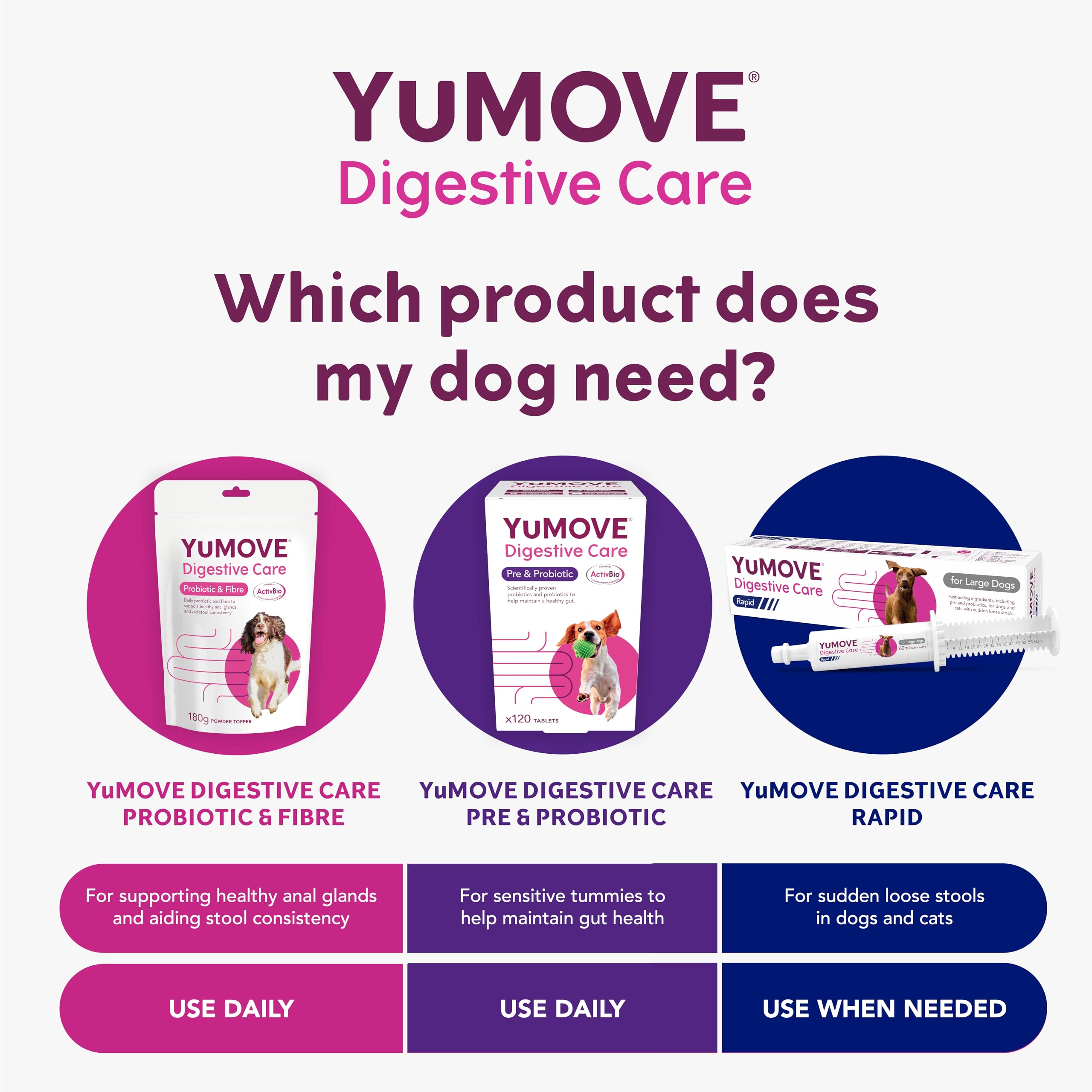 YuMOVE Digestive Care Rapid Dog Pre and Probiotic Paste for Gut Health | 2 Pack | 120ml Total 5