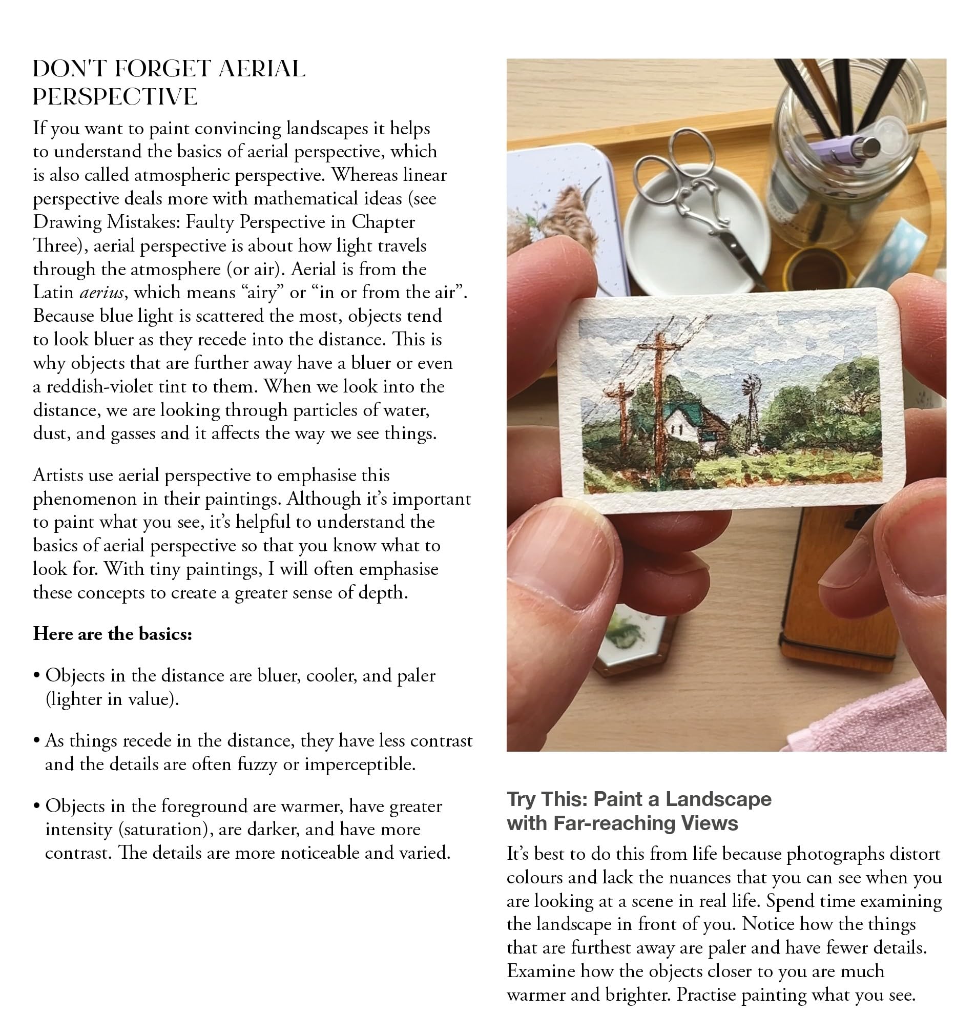 David & Charles The Big Book of Tiny Painting - Guide to Outdoor Ink & Watercolour | Paperback 5