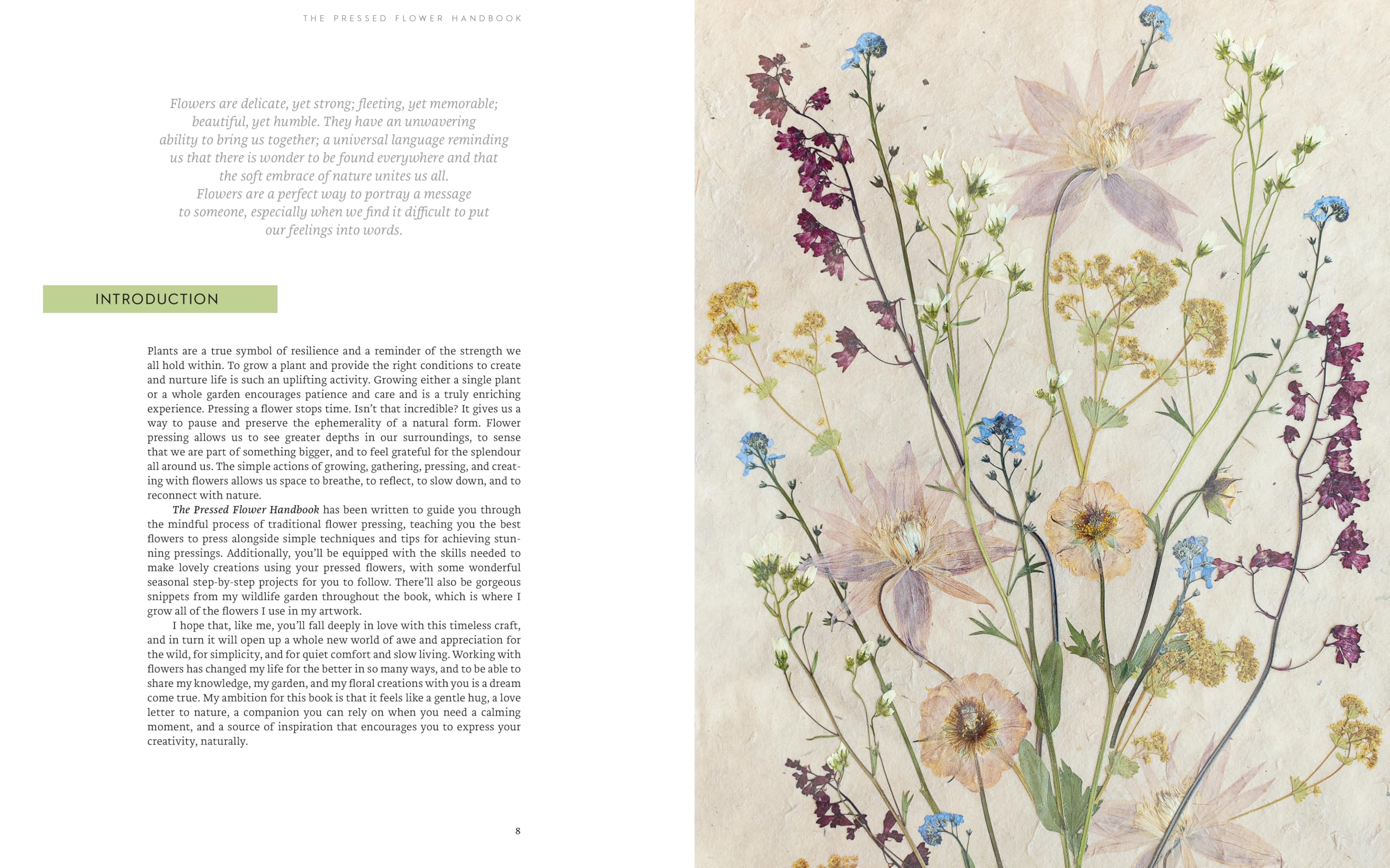 Quarry Books The Pressed Flower Handbook - Connecting with Nature Through Floral Crafts 3