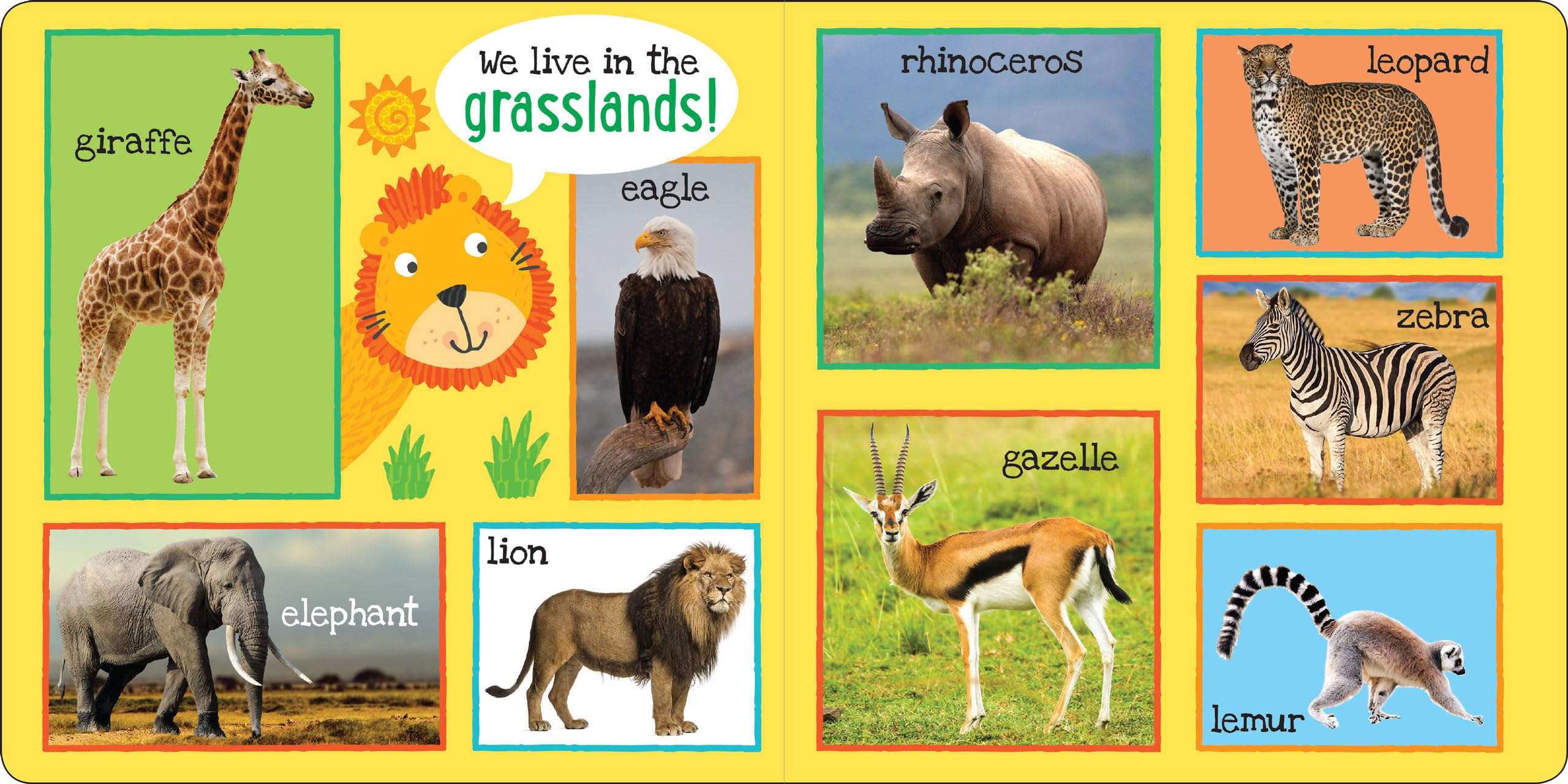 Peter Pauper Press My First 101 Animals Board Book - Ages 0-2 | 24 Pages | English 4