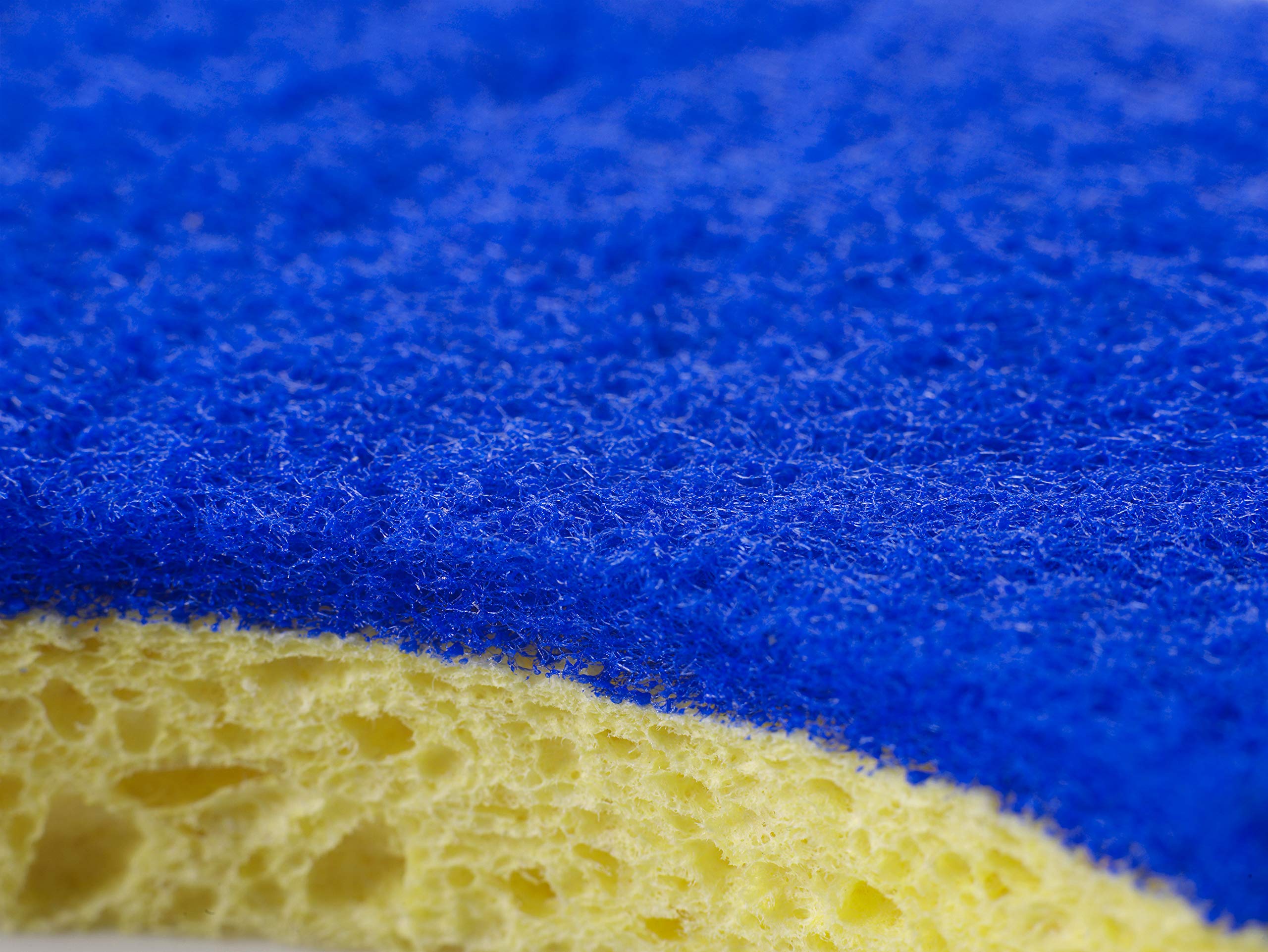 Spontex Non Scratch Super Absorbent Sponge Scourers - Pack of 2, Yellow/Blue | Biodegradable Cellulose 4