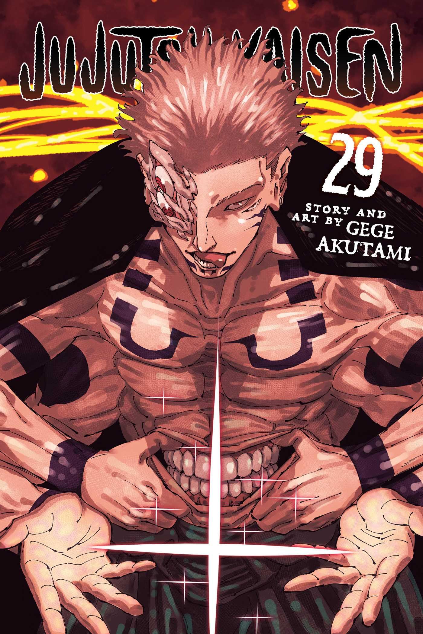 Viz Media Jujutsu Kaisen, Vol. 29 | Paperback | English