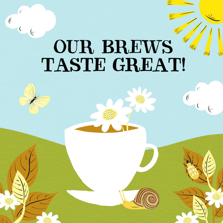 Clipper - Organic Chamomile Tea Bags | 250 Individually Wrapped Fairtrade Infusion Sachets