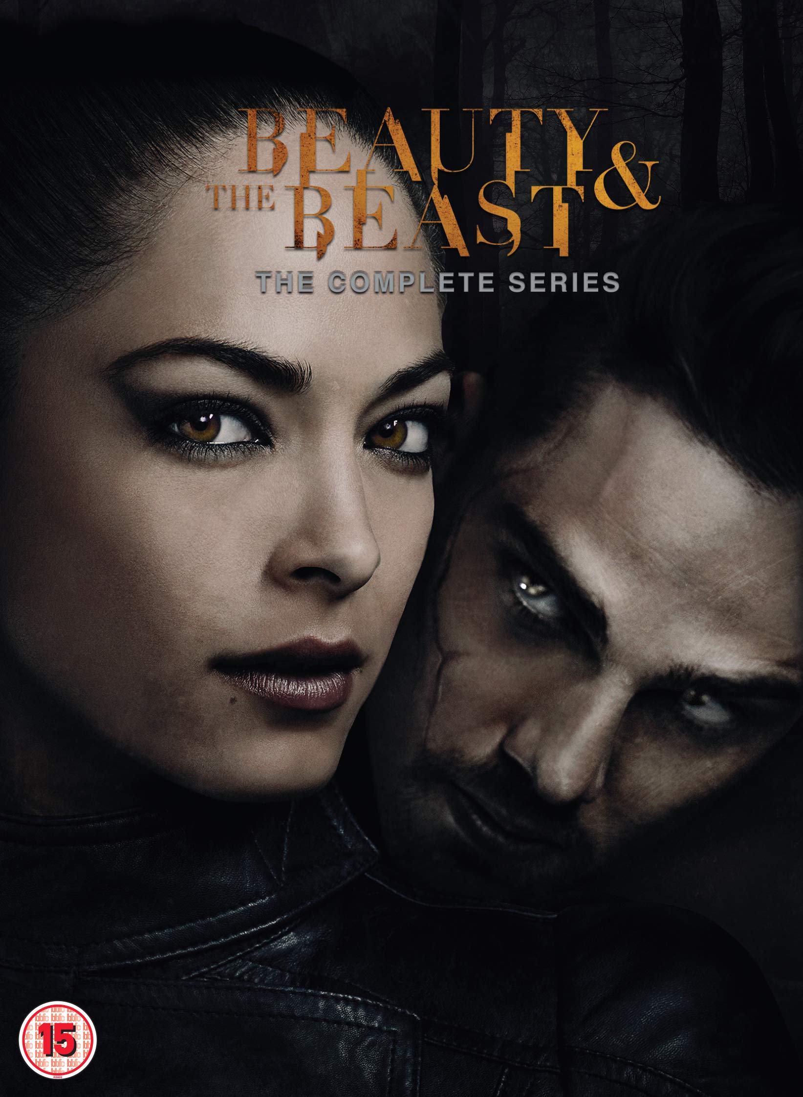 Beauty and the Beast: Seasons 1-4 [DVD] 1