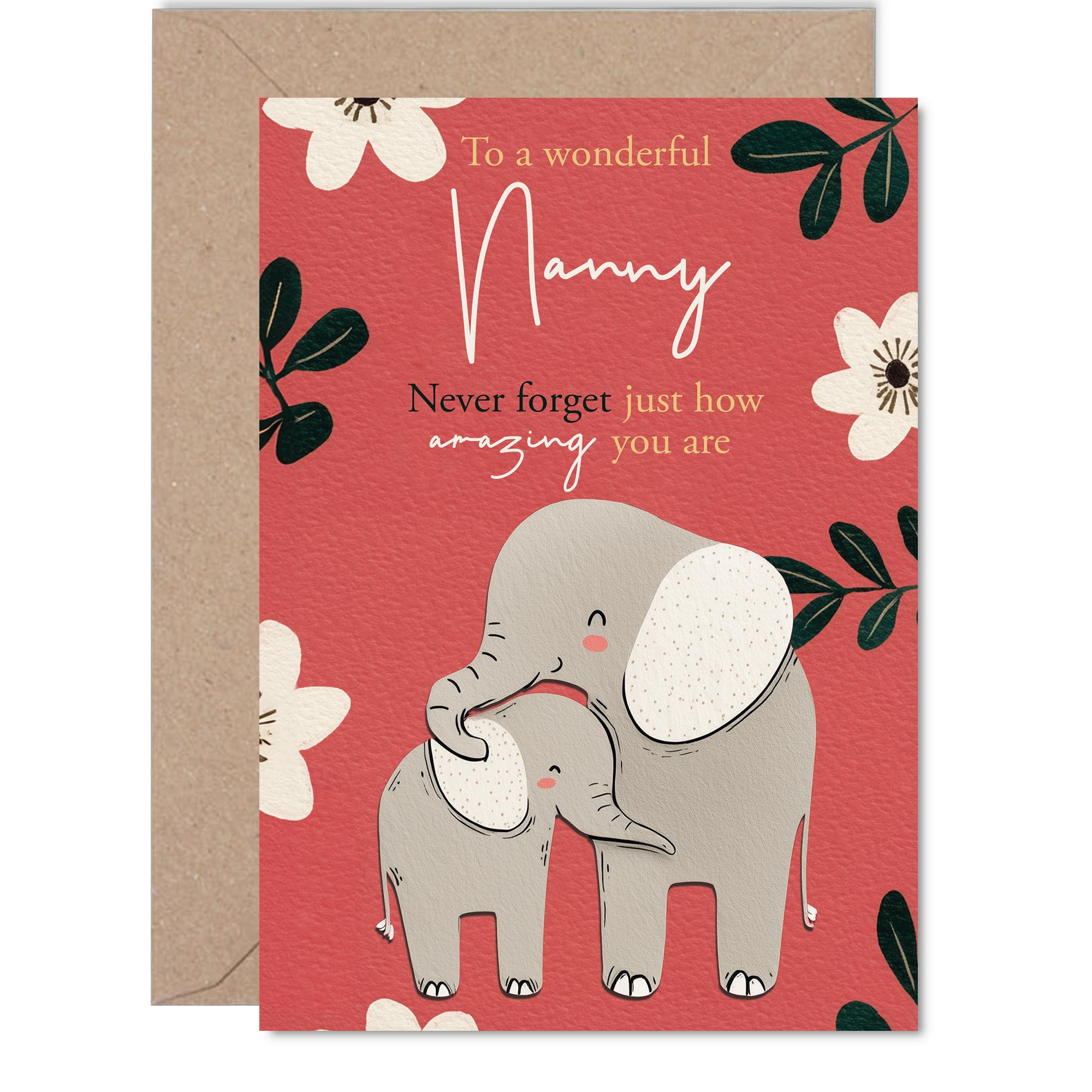 Giftzie Nanny Birthday Card - To a Wonderful Nanny Never Forget Just How Amazing You Are | 5x7 Inch