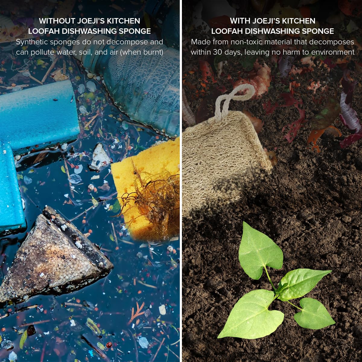 Joeji's Kitchen - Pack of 8 Natural Eco Dishwasher Sponges 9